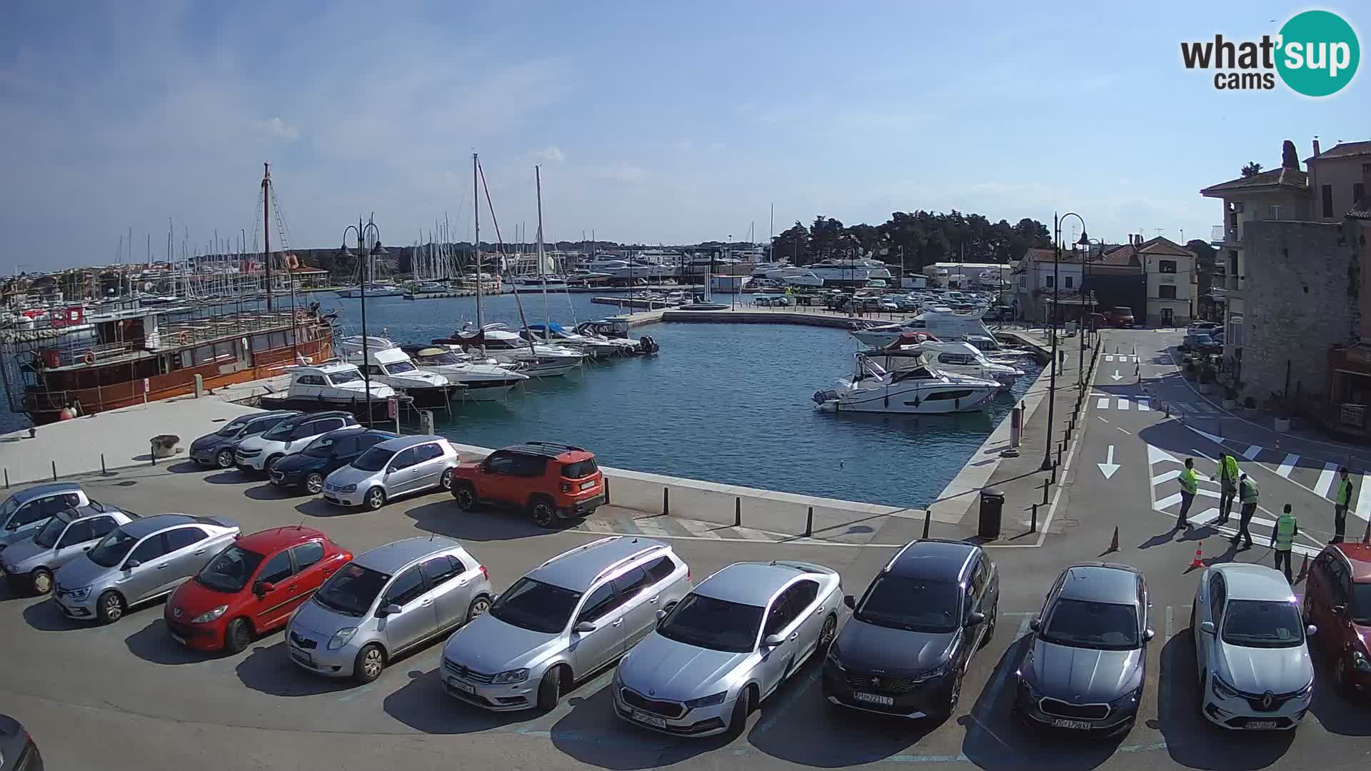 Novigrad | Porporela marina