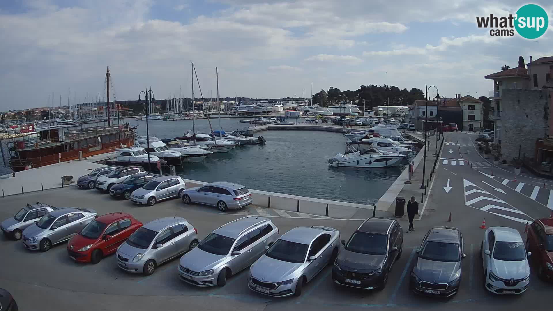Novigrad | Porporela marina