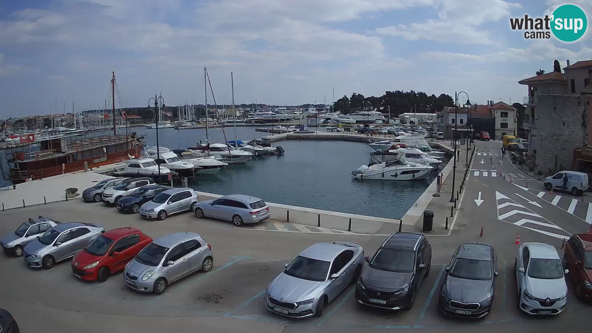 Novigrad | Porporela marina