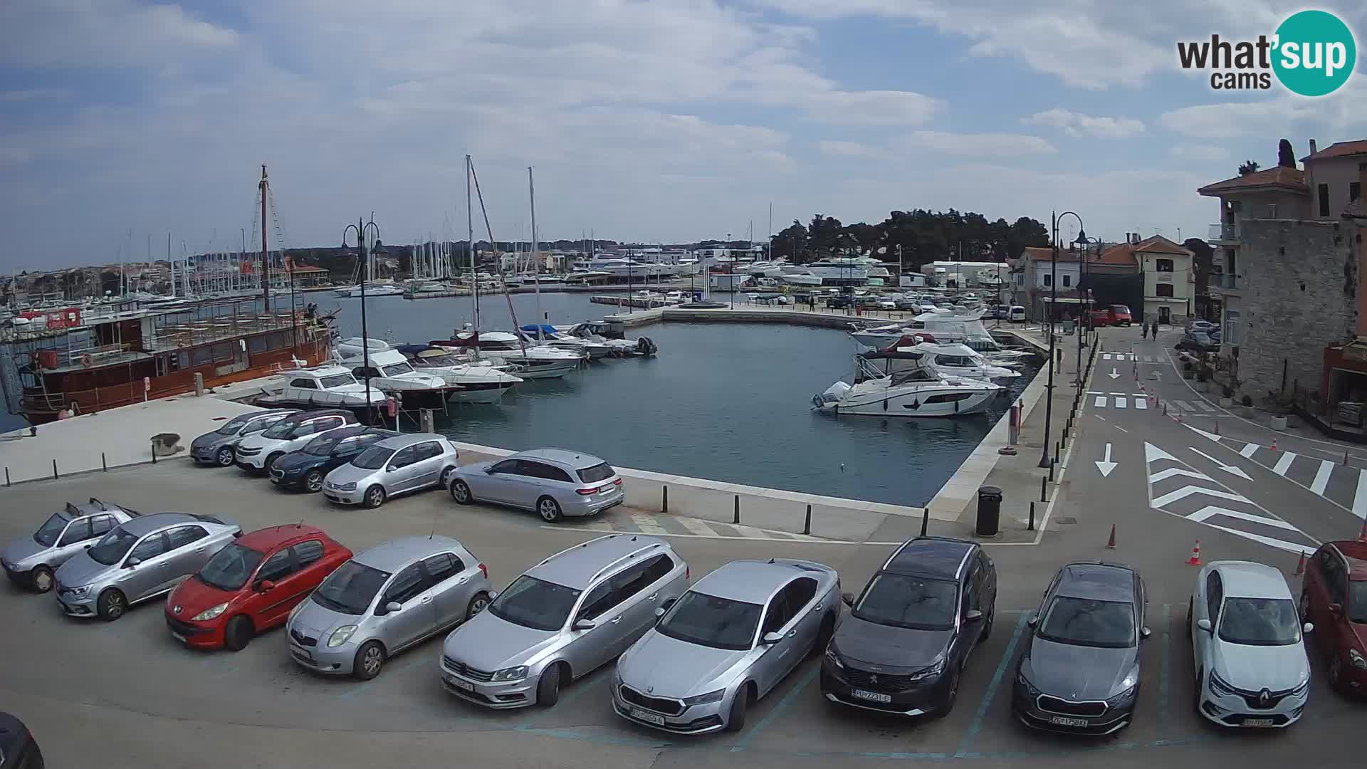 Novigrad | Porporela marina