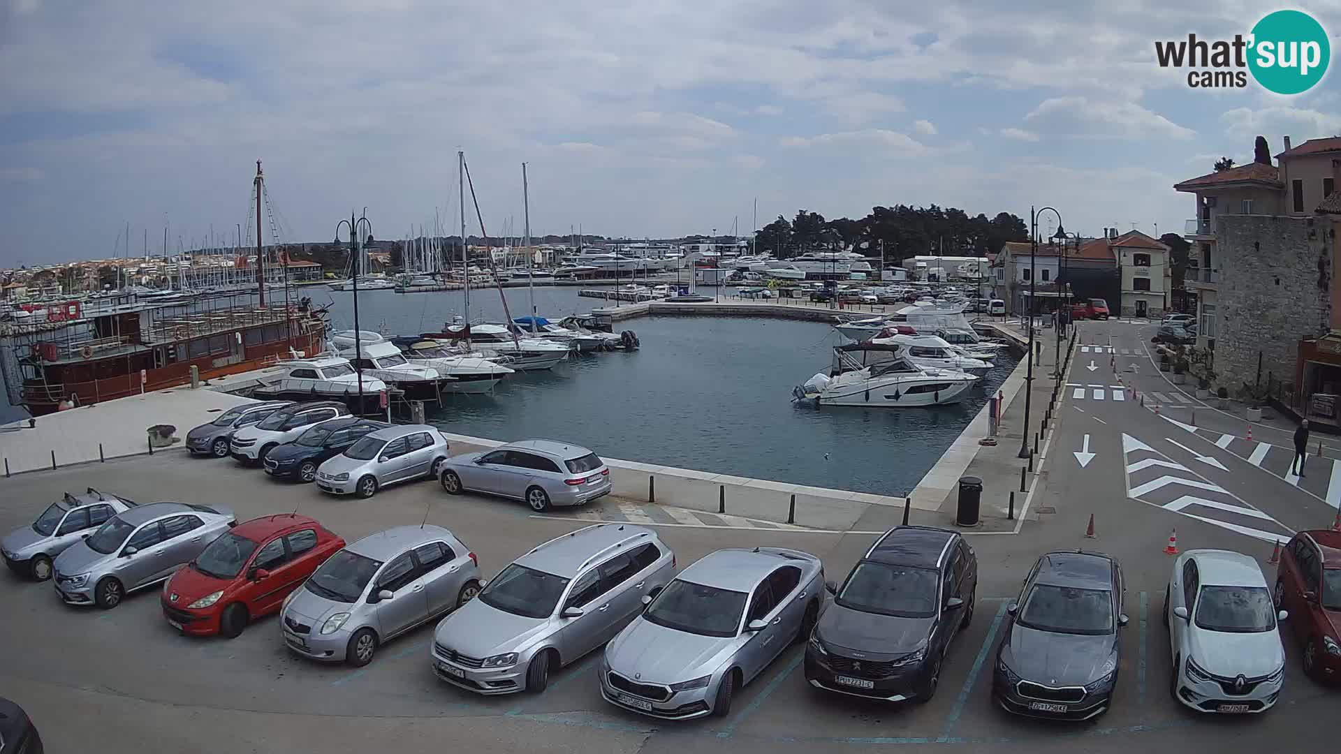 Novigrad | Porporela marina