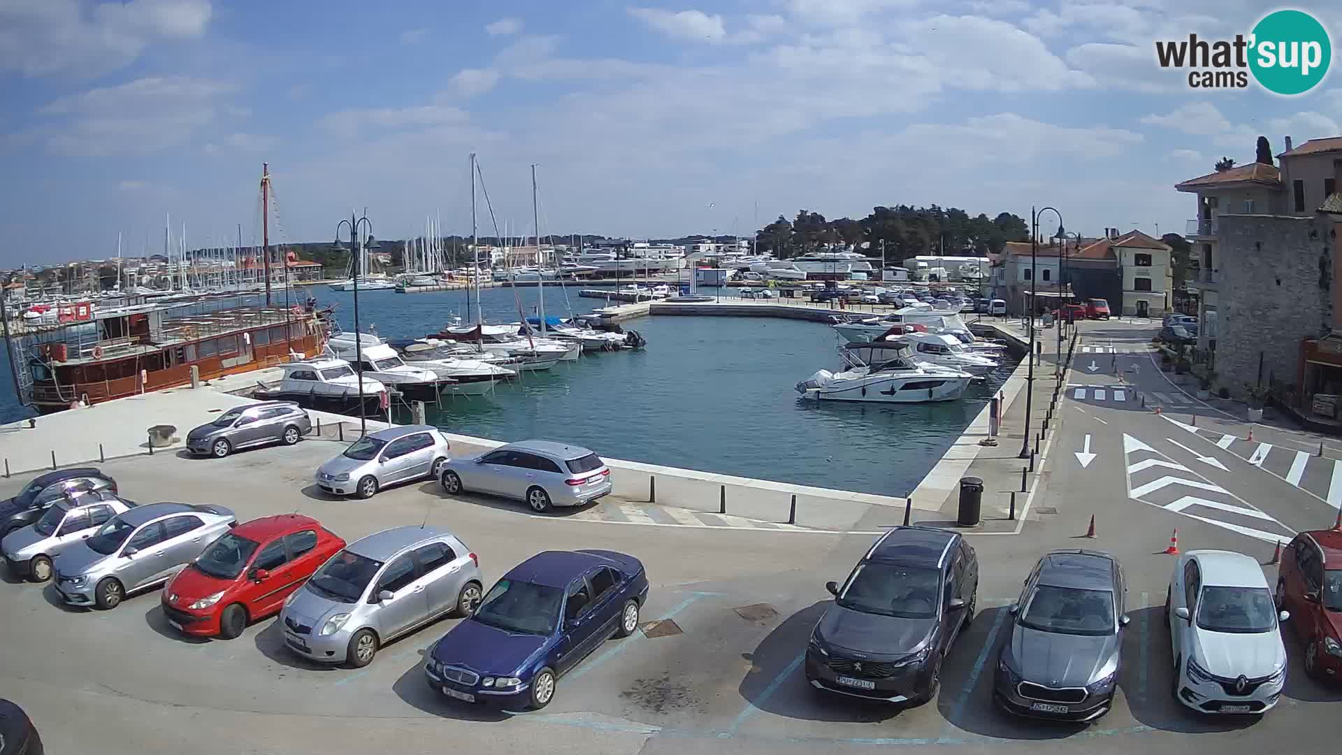 Novigrad | Porporela marina