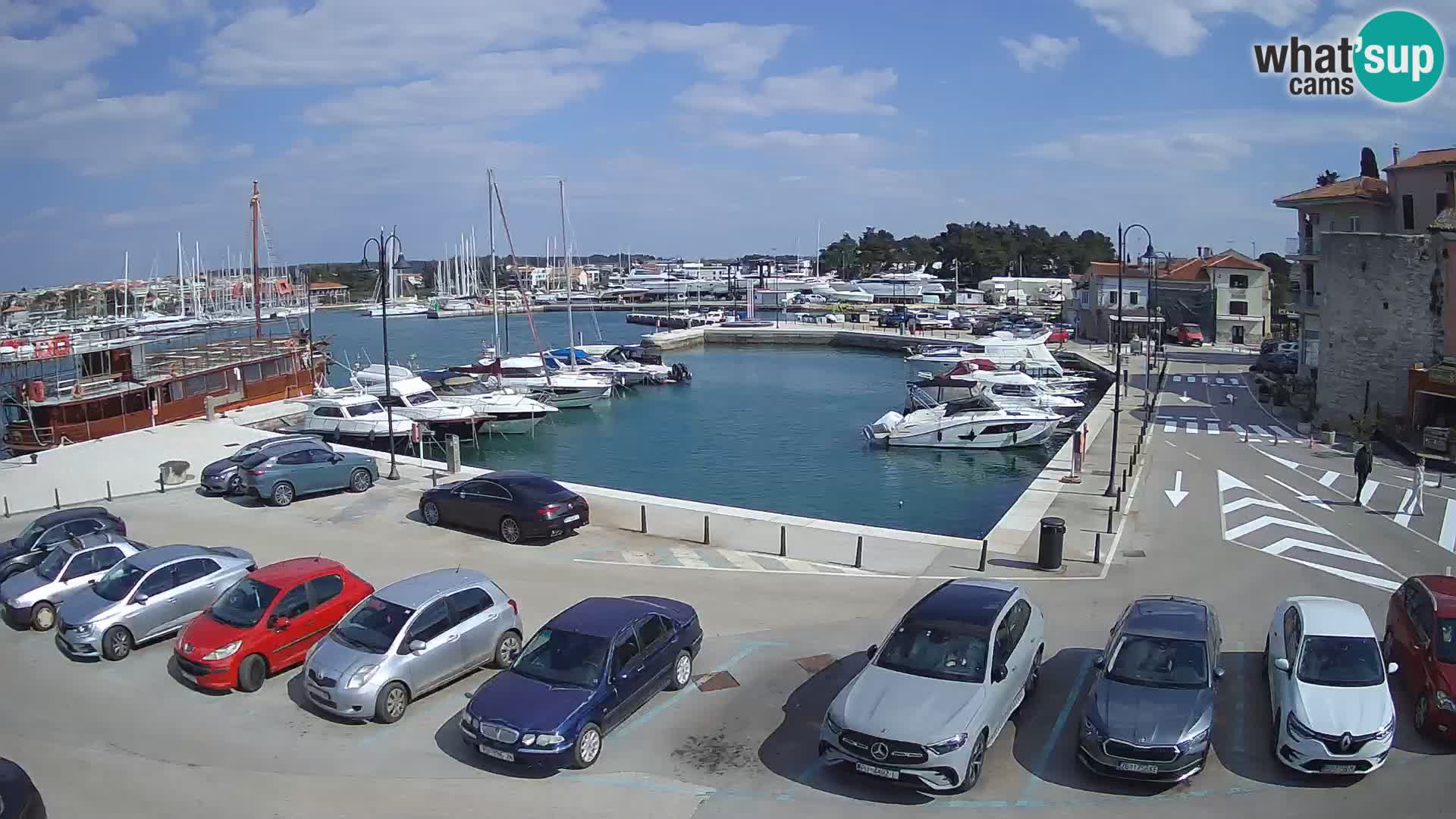 Novigrad | Porporela marina