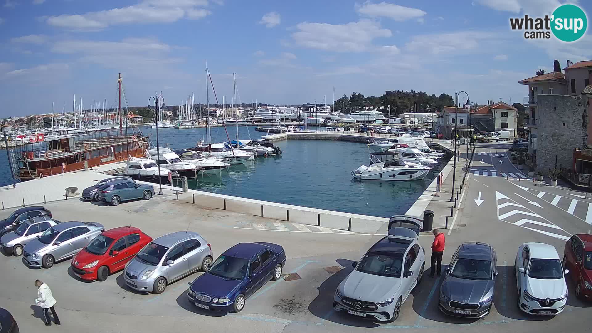 Novigrad | Porporela marina