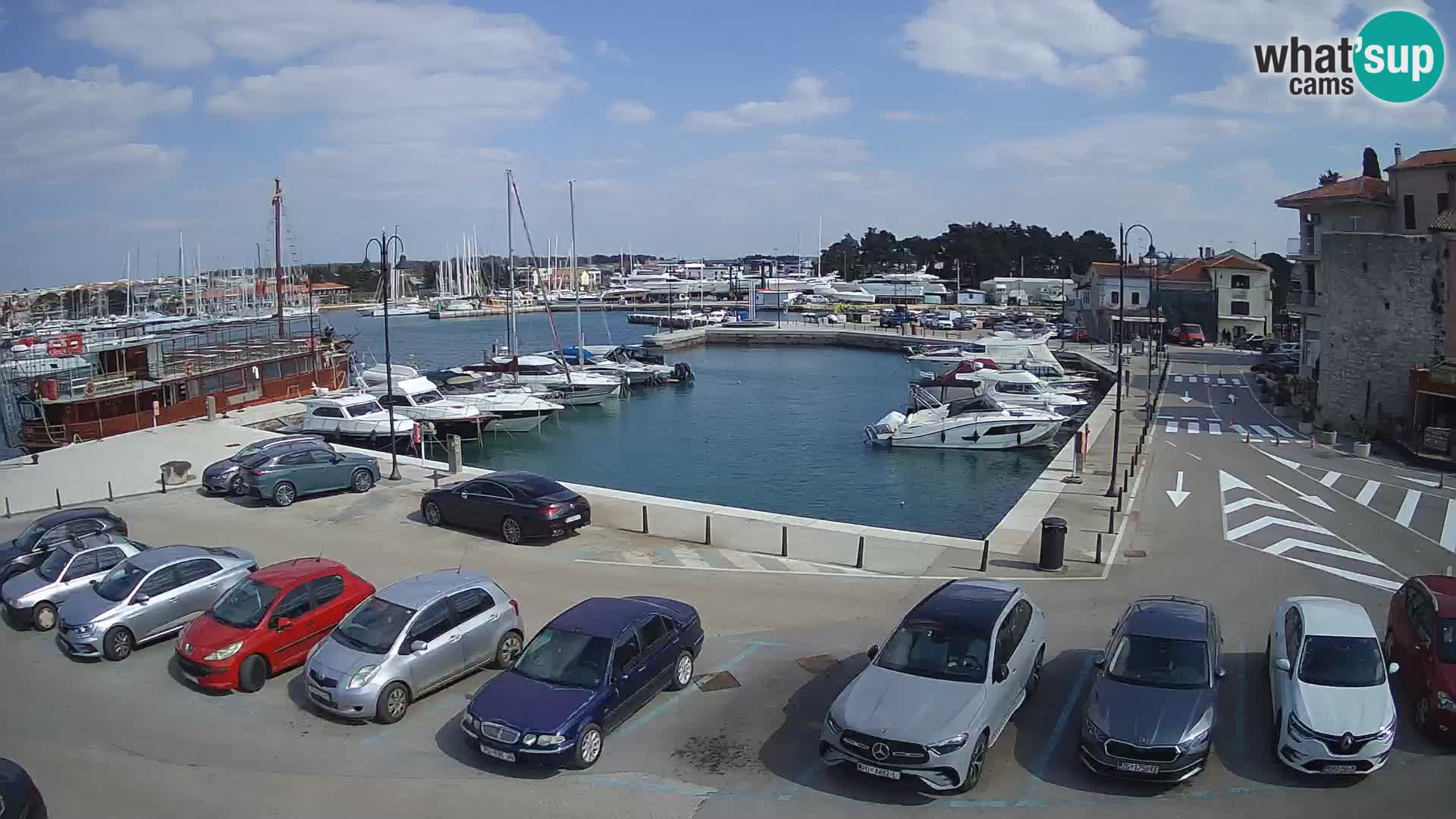 Novigrad | Porporela marina