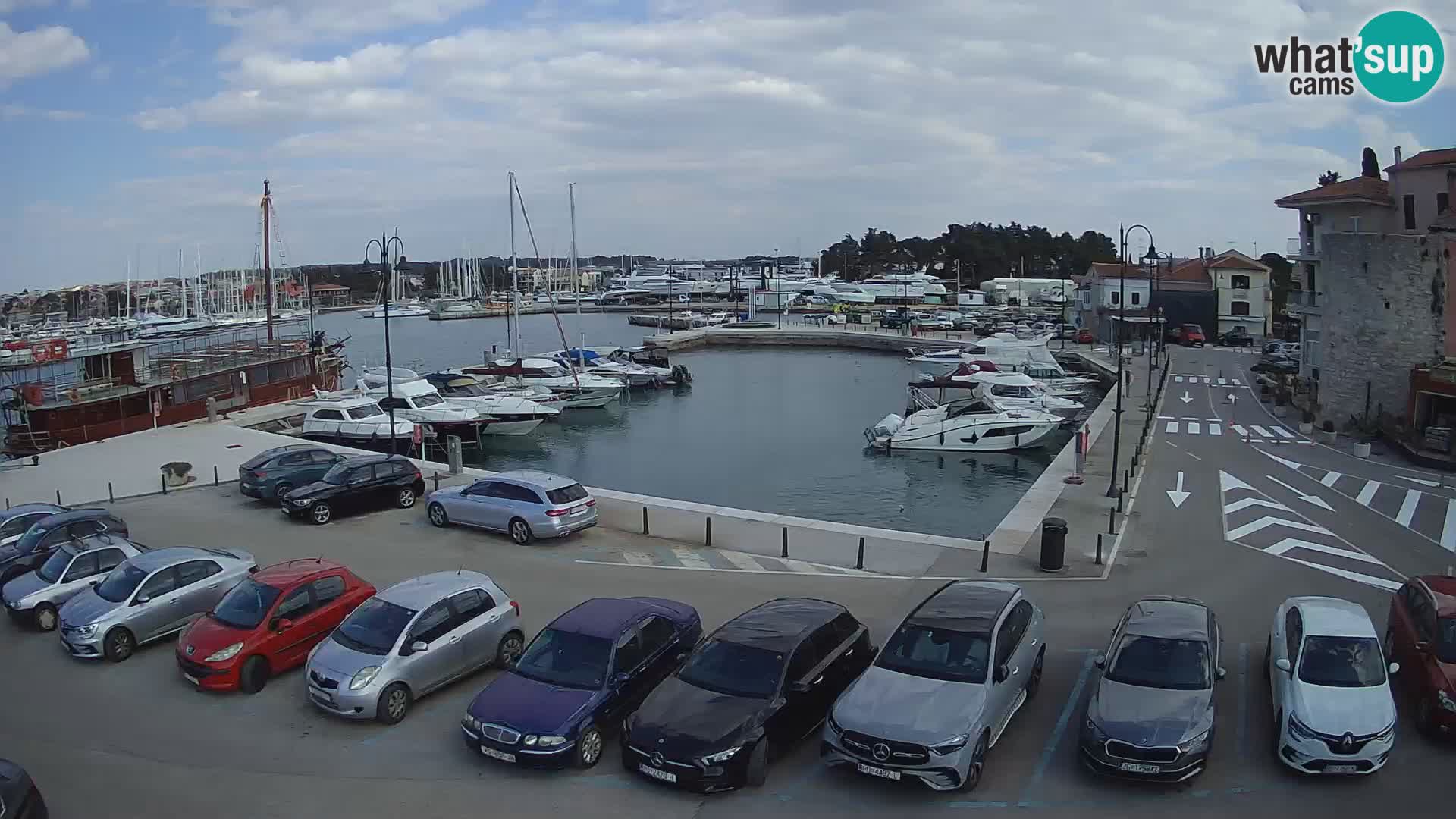 Novigrad | Porporela marina