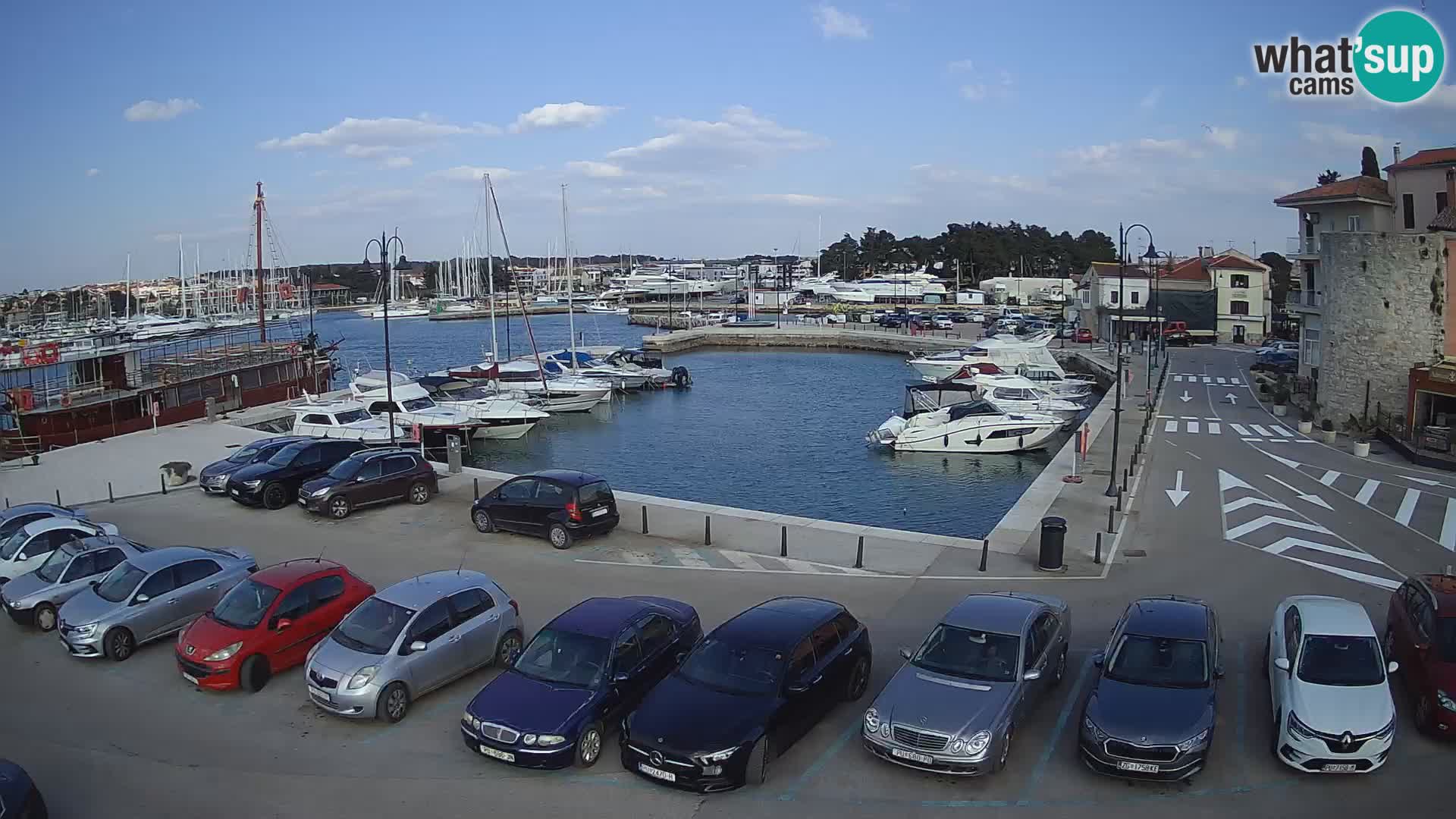 Novigrad | Porporela marina