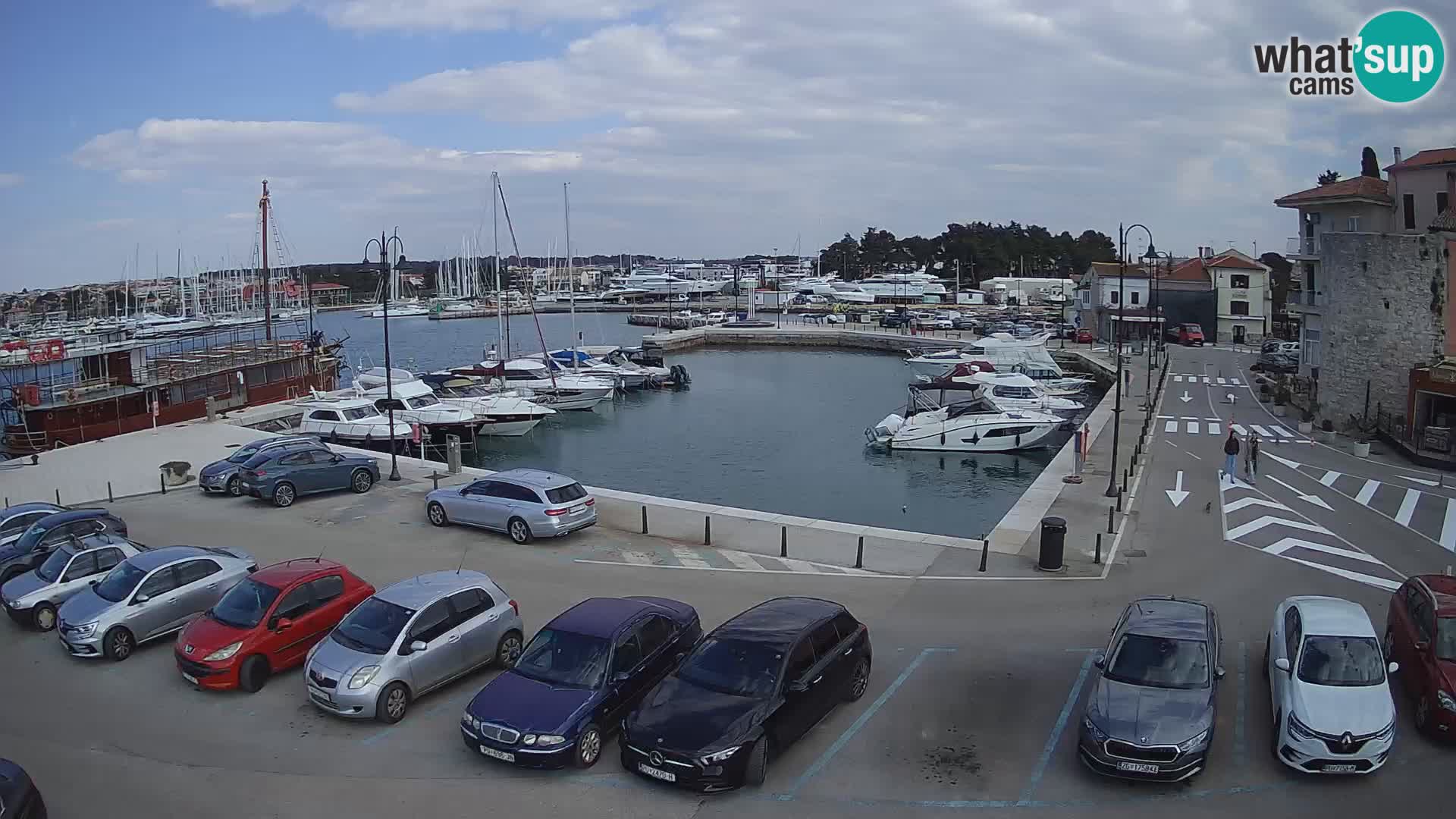 Novigrad | Porporela marina