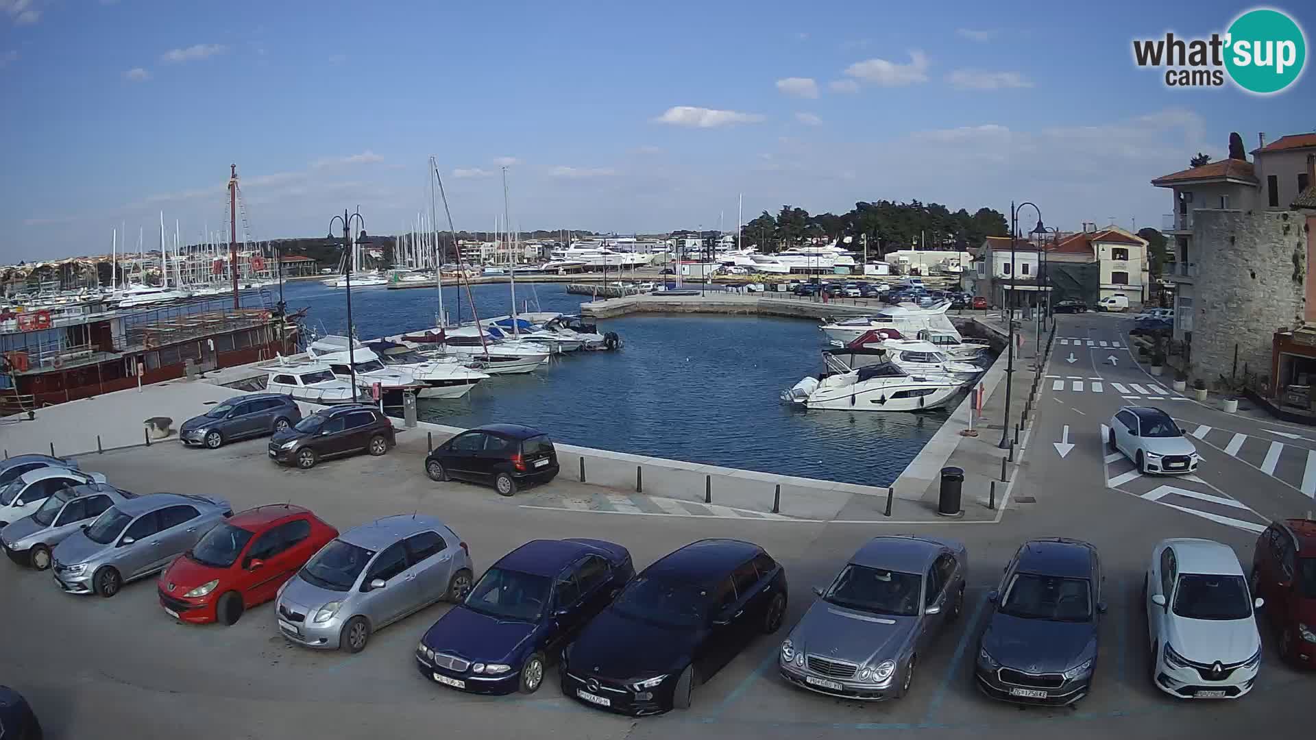 Novigrad | Porporela marina