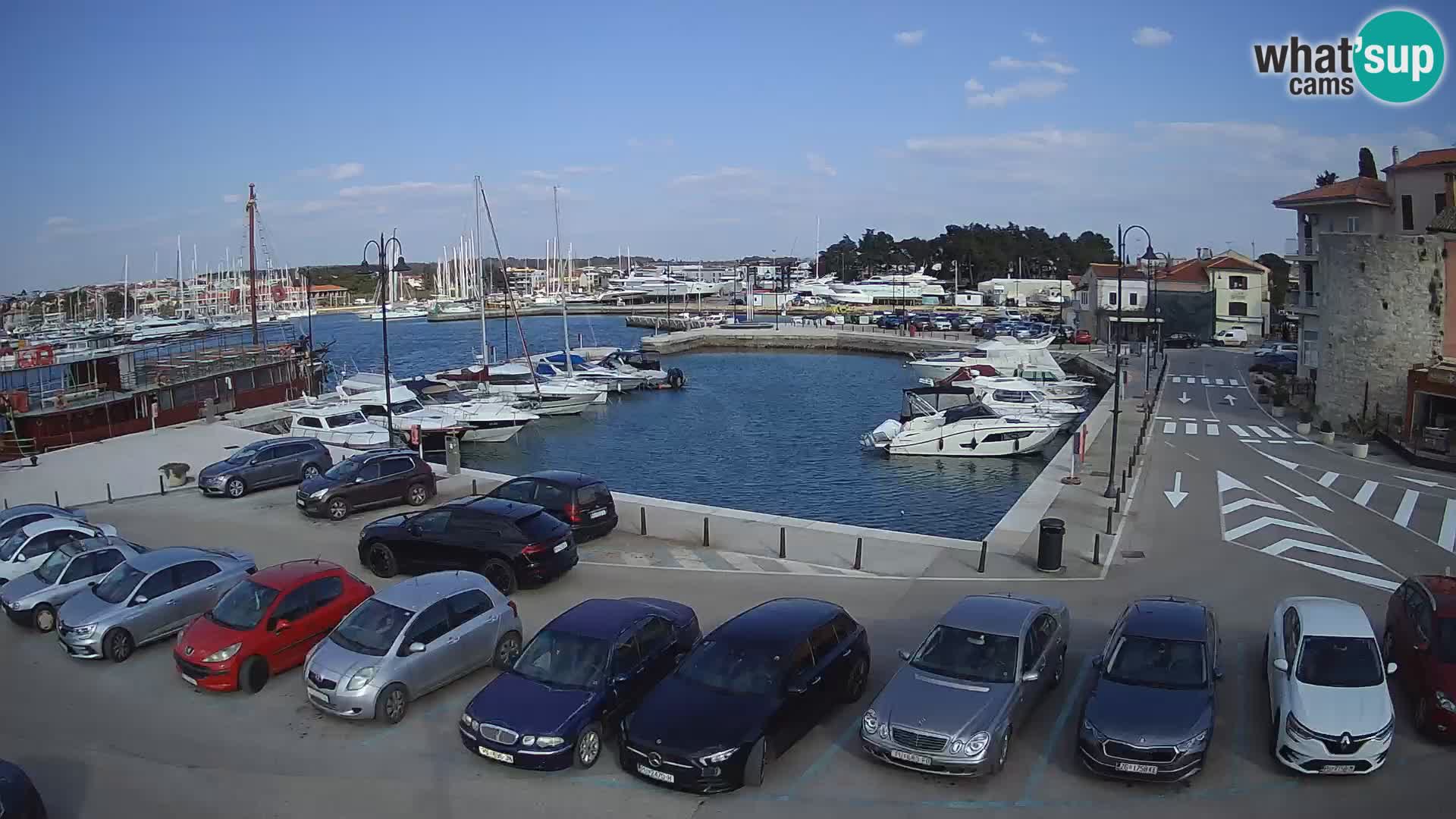 Novigrad | Porporela marina