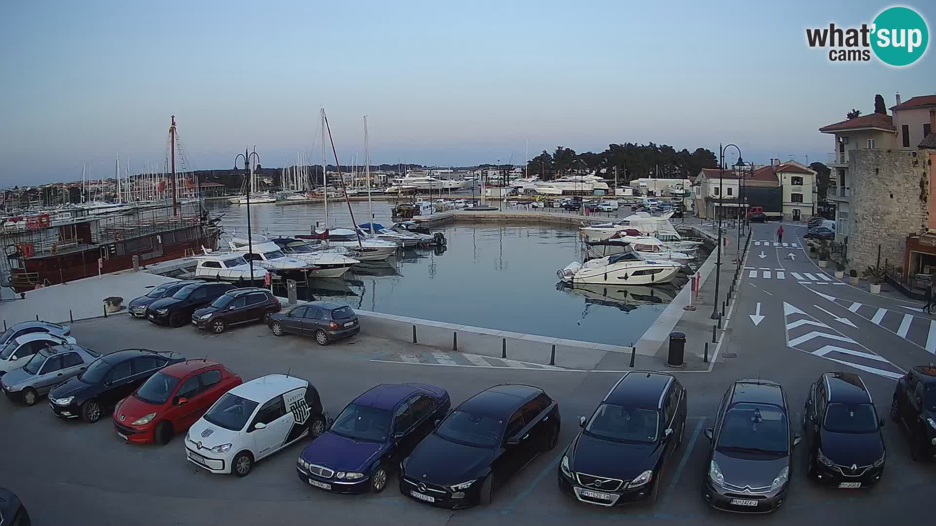 Novigrad | Porporela marina