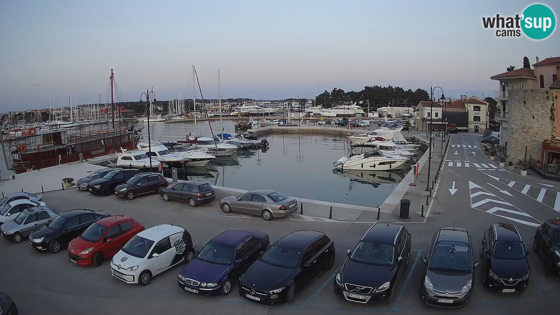 Novigrad | Porporela marina