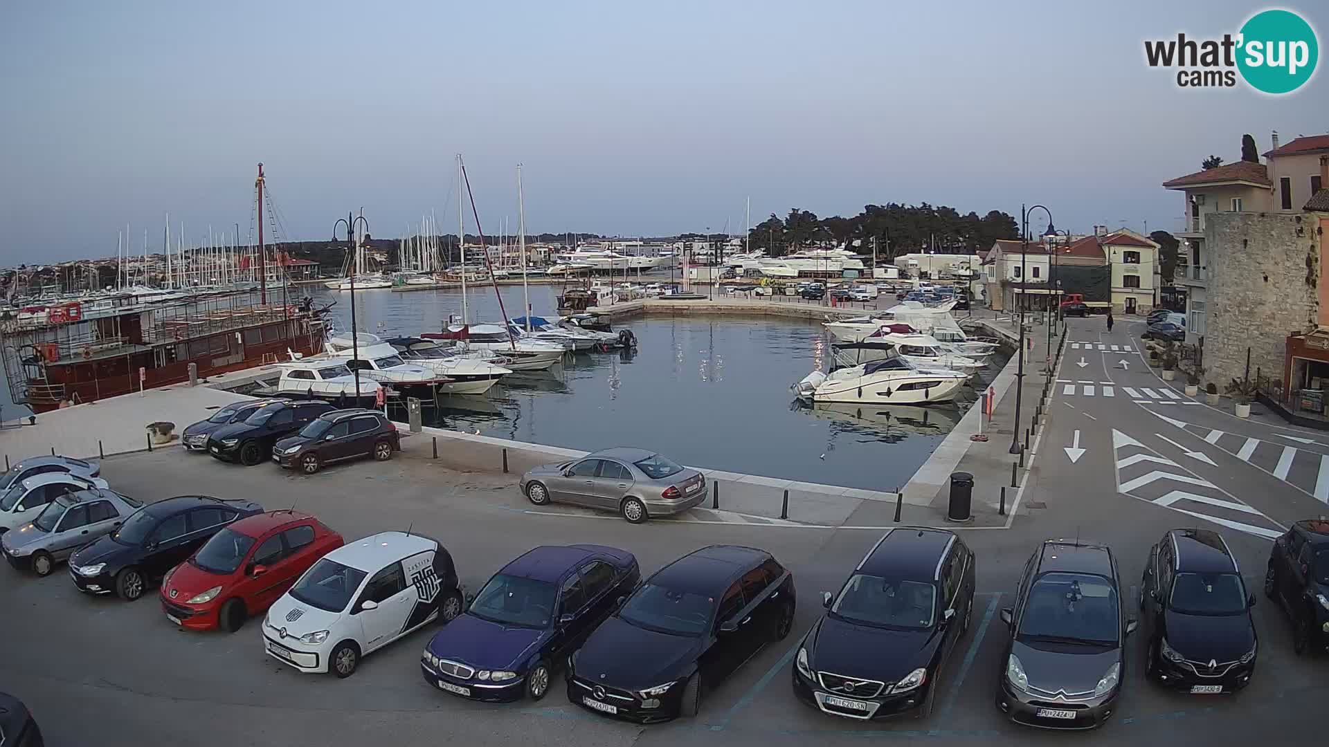 Novigrad | Porporela marina