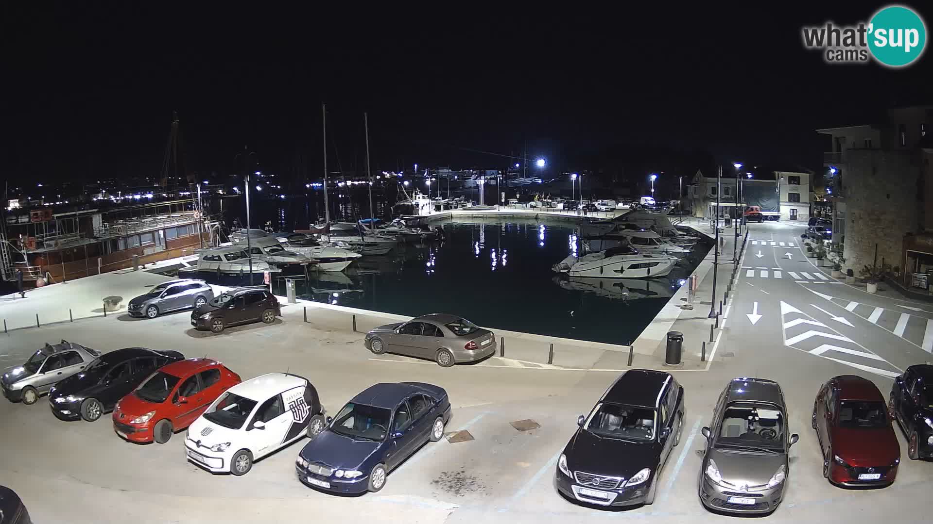 Novigrad | Porporela marina