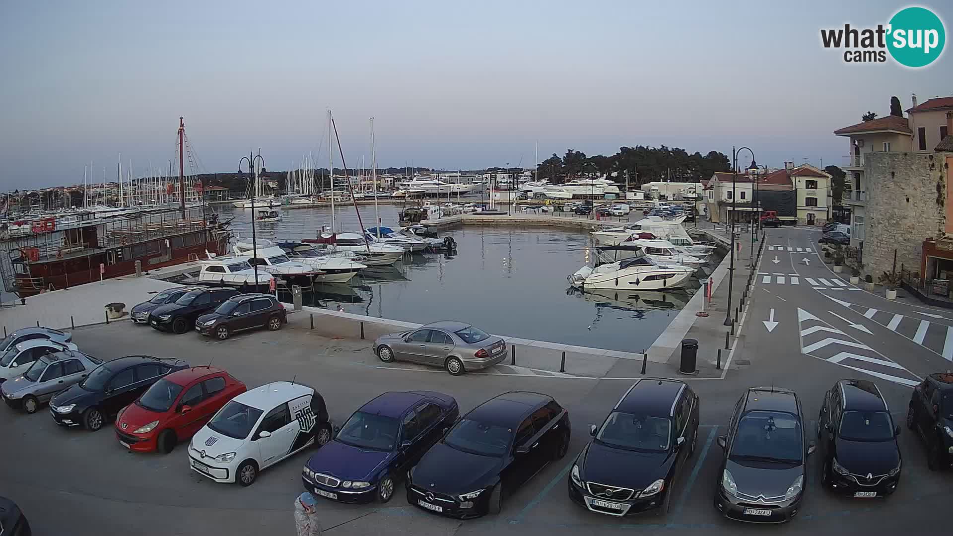 Novigrad | Porporela marina