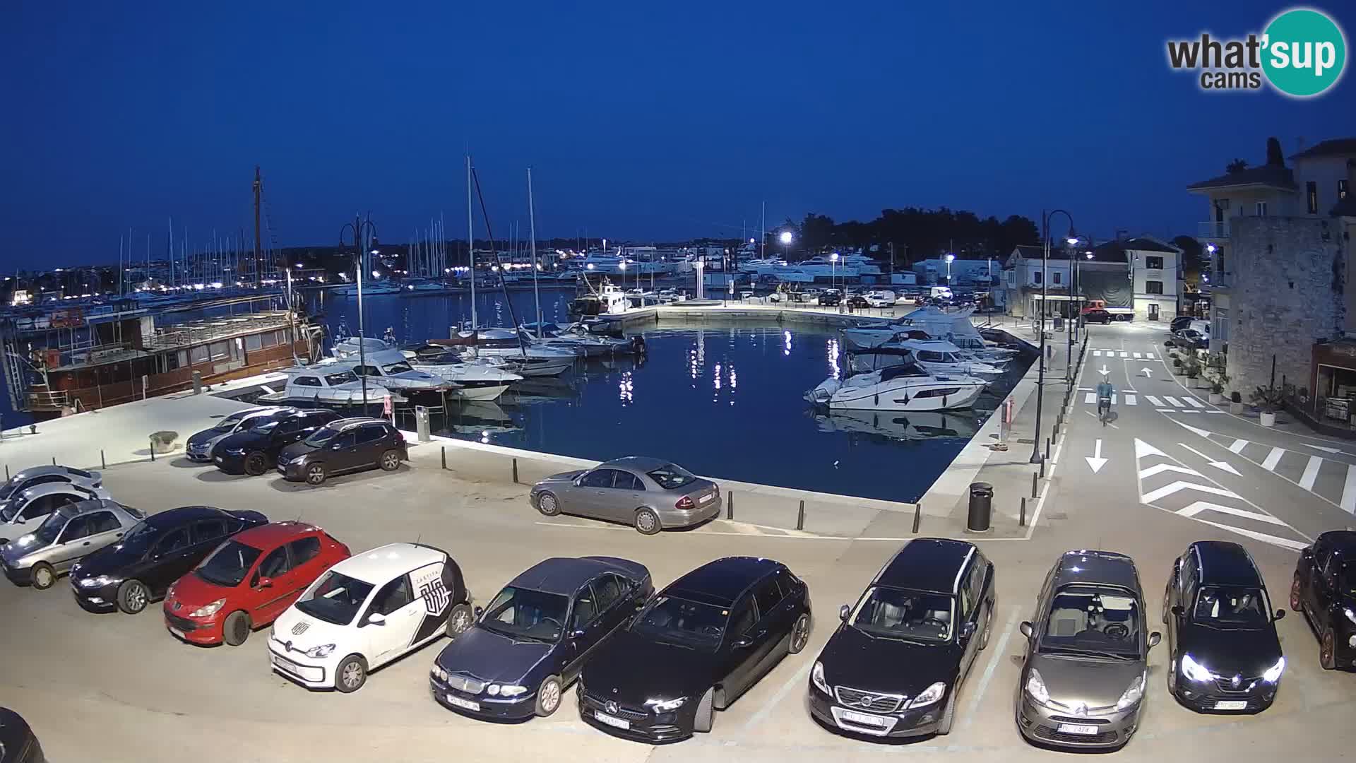 Novigrad | Porporela marina