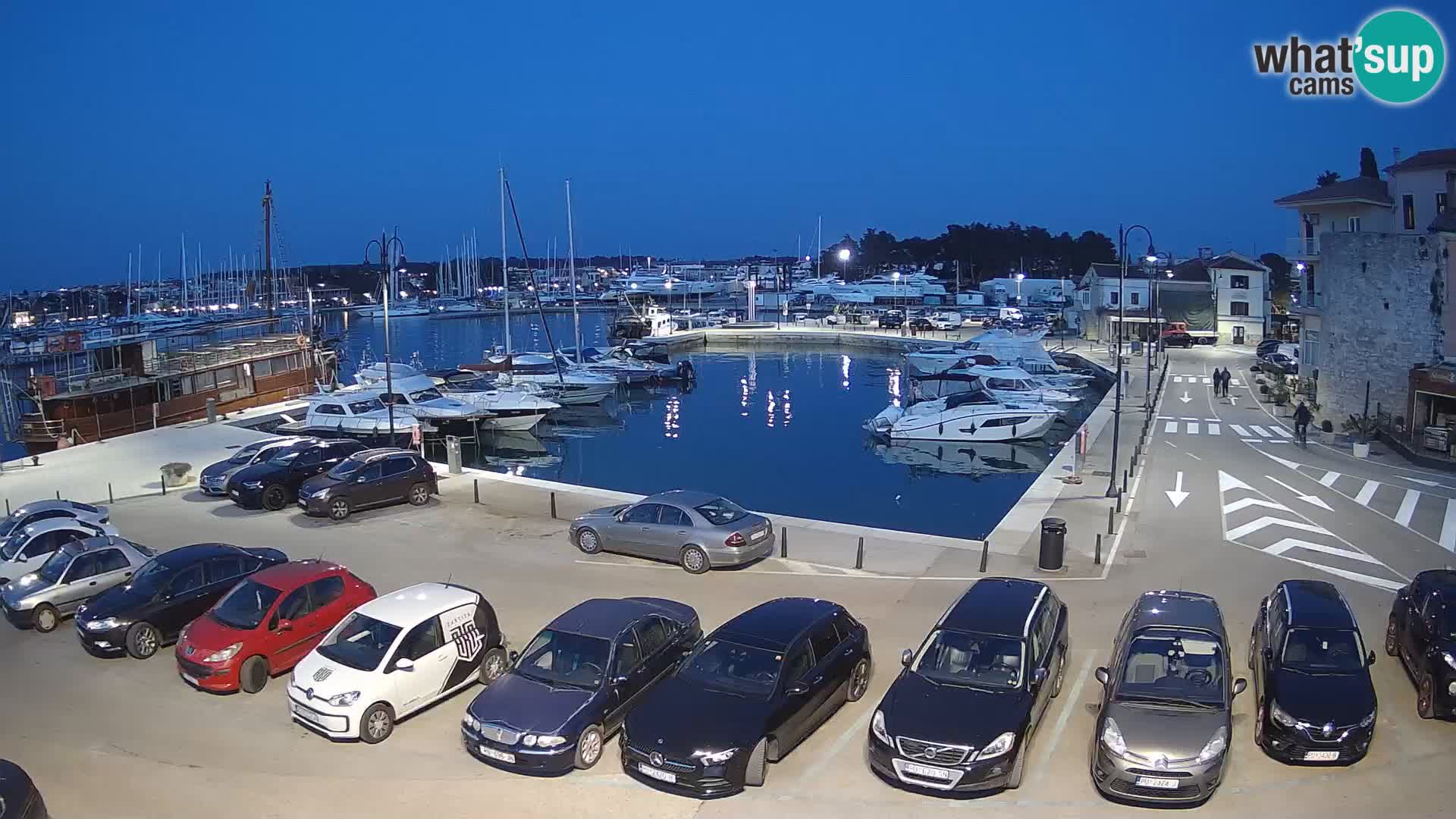 Novigrad | Porporela marina