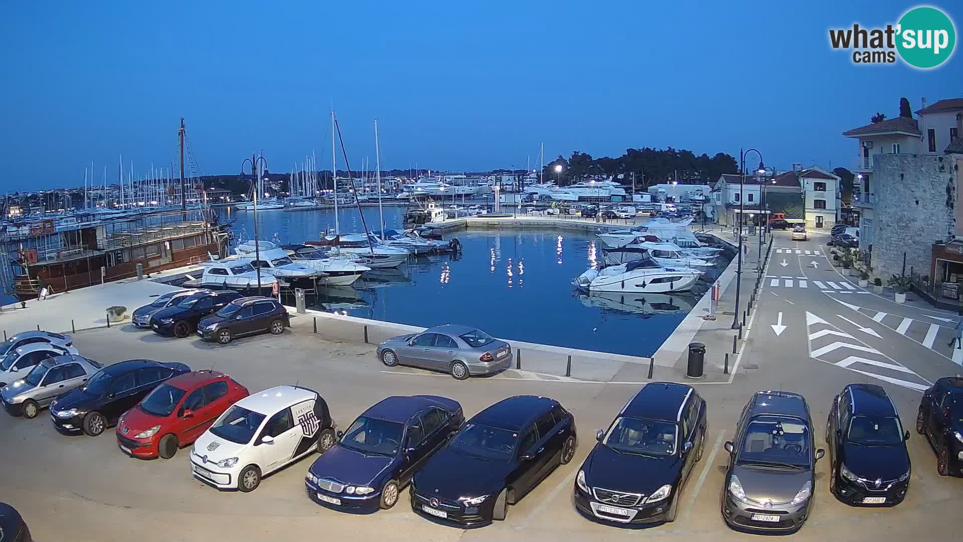 Novigrad | Porporela marina