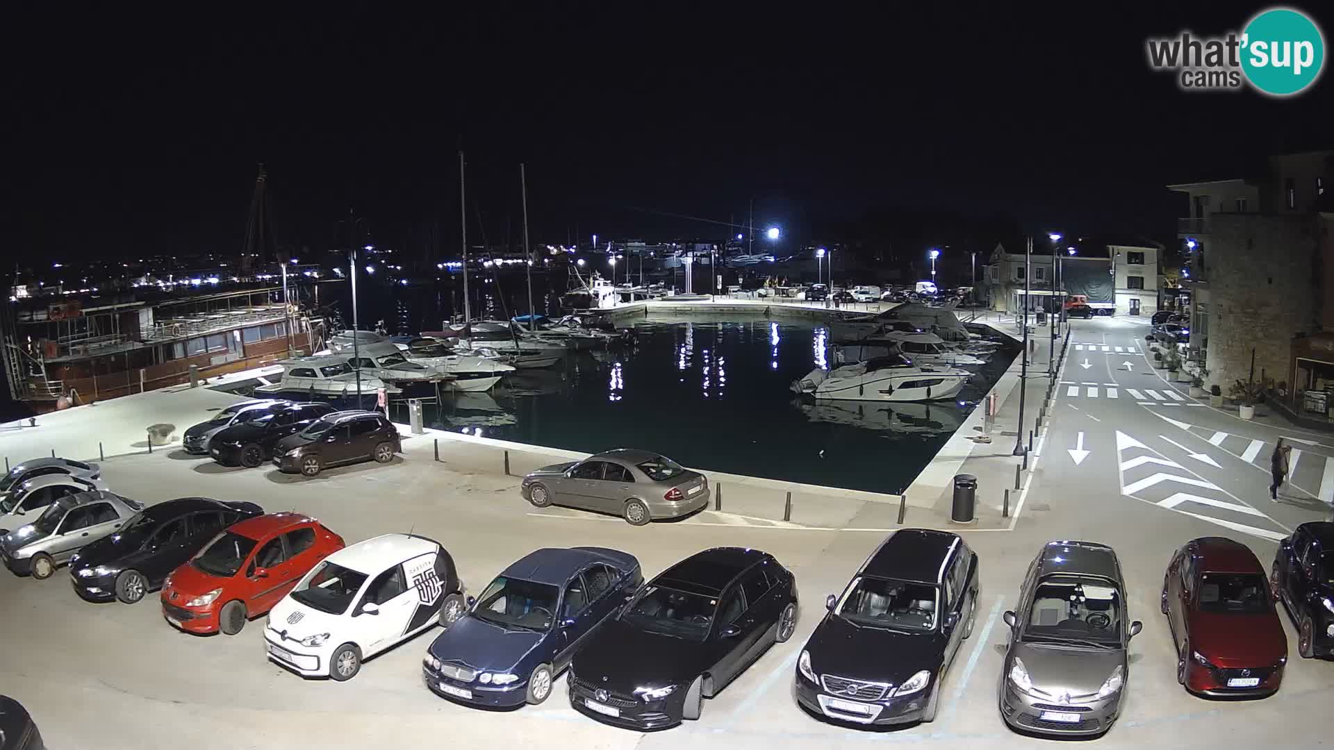 Novigrad | Porporela marina