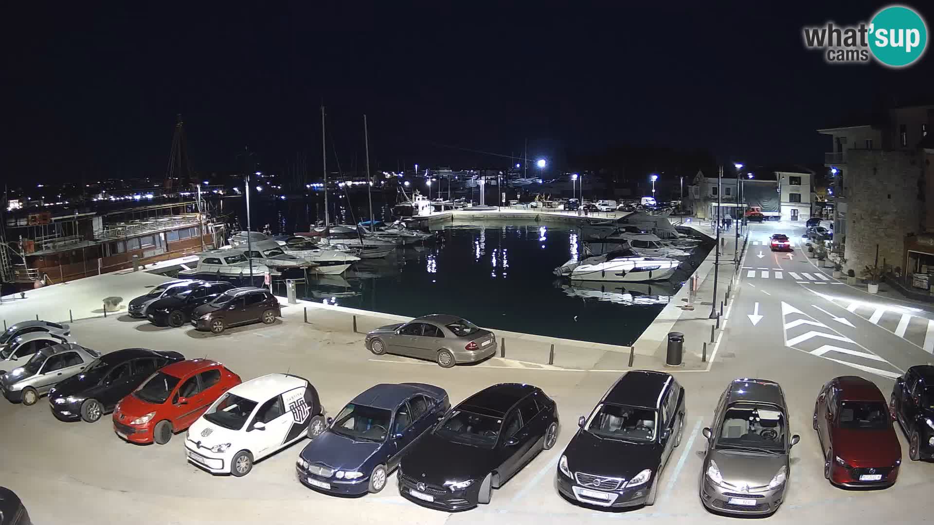 Novigrad | Porporela marina