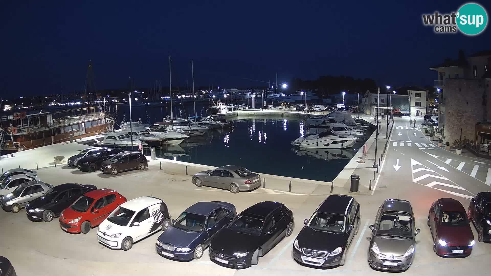 Novigrad | Porporela marina