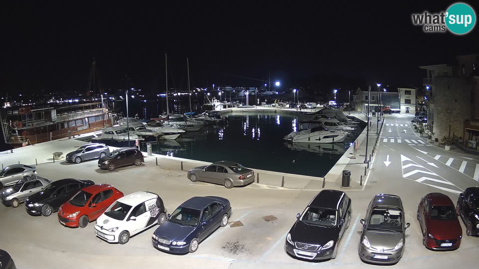 Novigrad | Porporela marina
