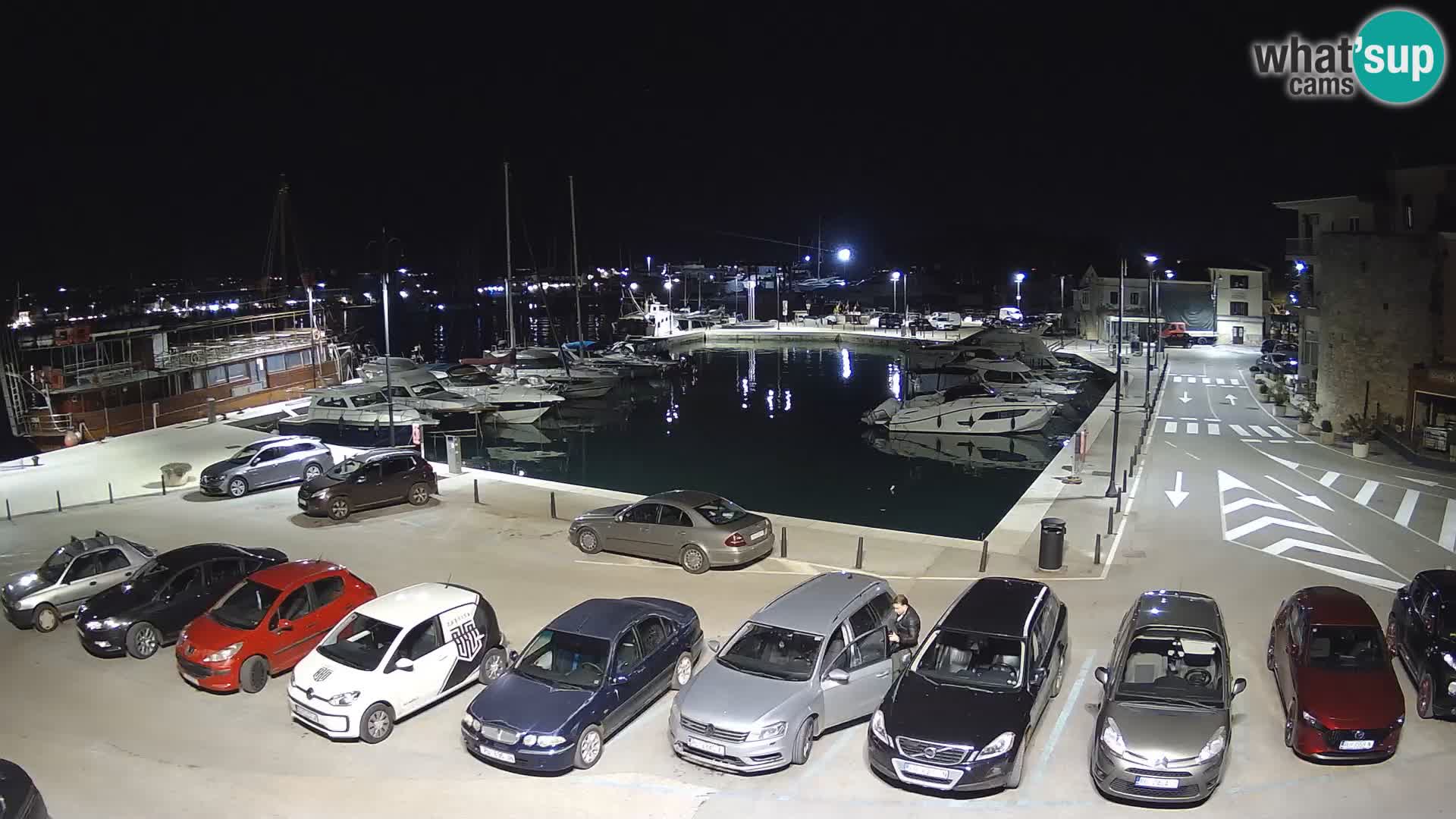 Novigrad | Porporela marina