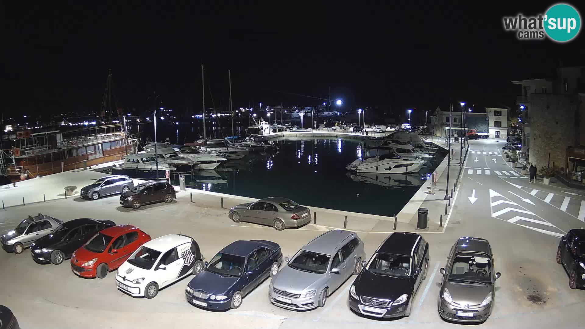 Novigrad | Porporela marina