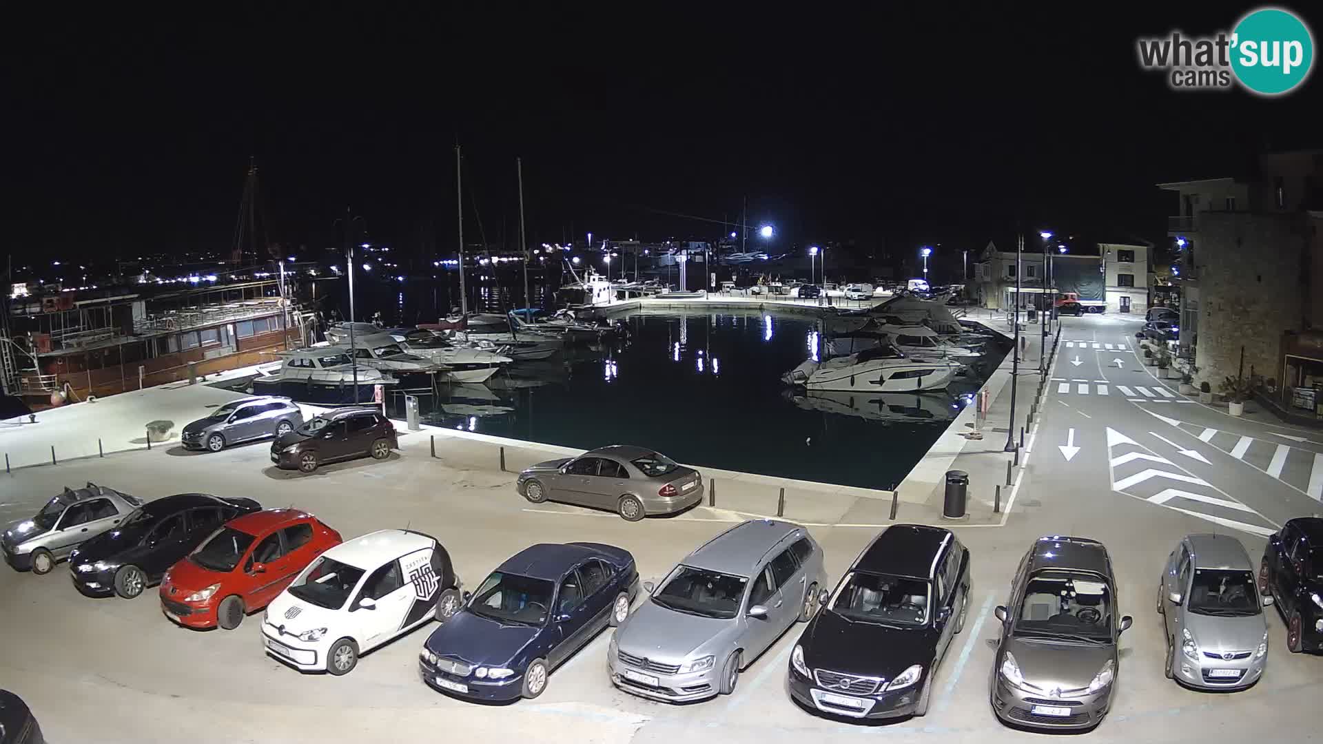 Novigrad | Porporela marina