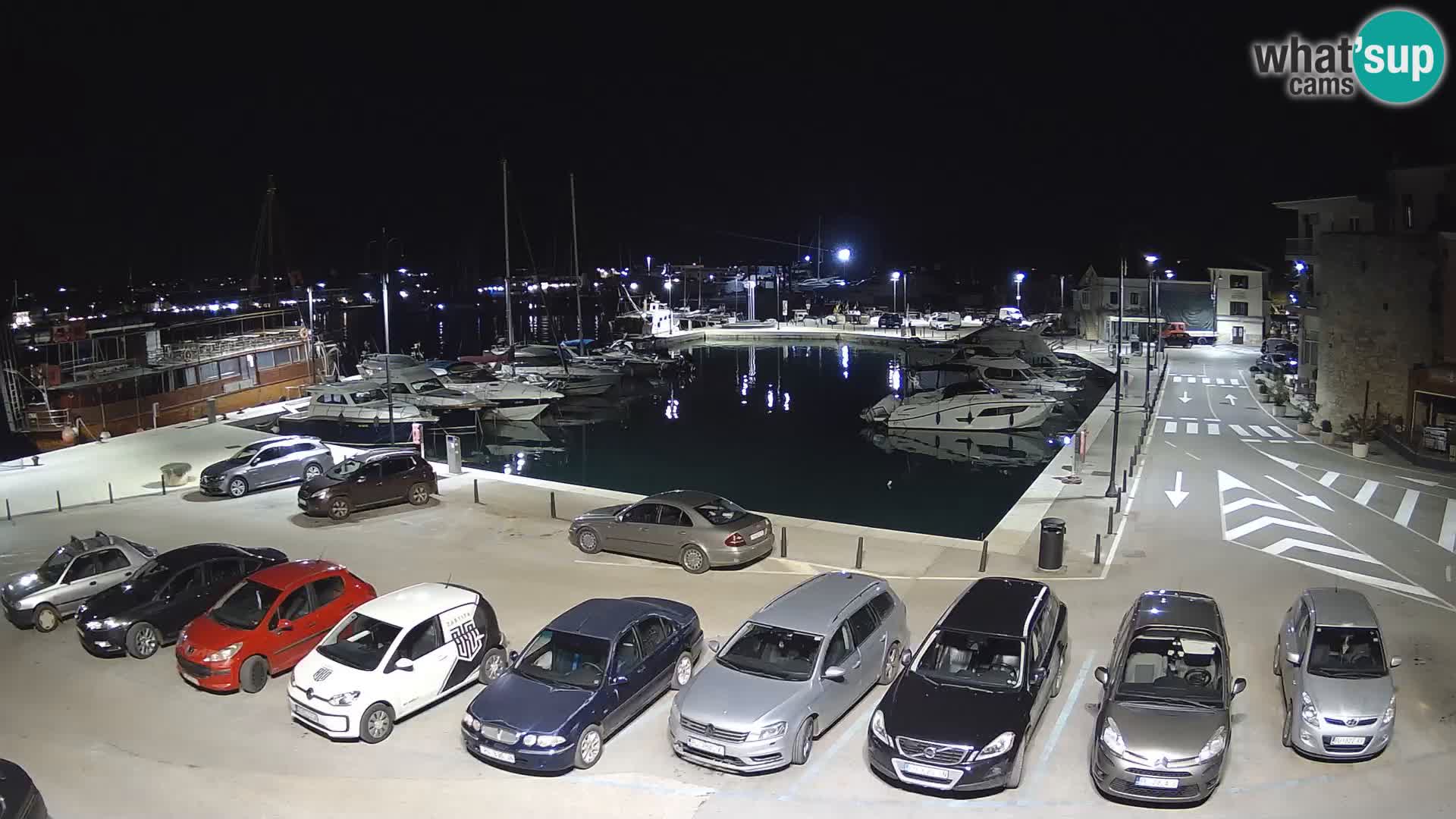 Novigrad | Porporela marina