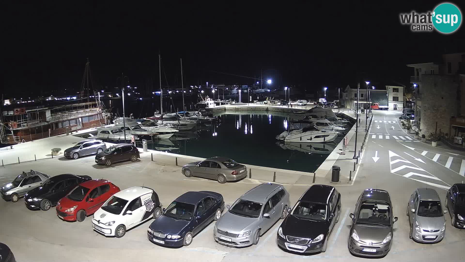 Novigrad | Porporela marina