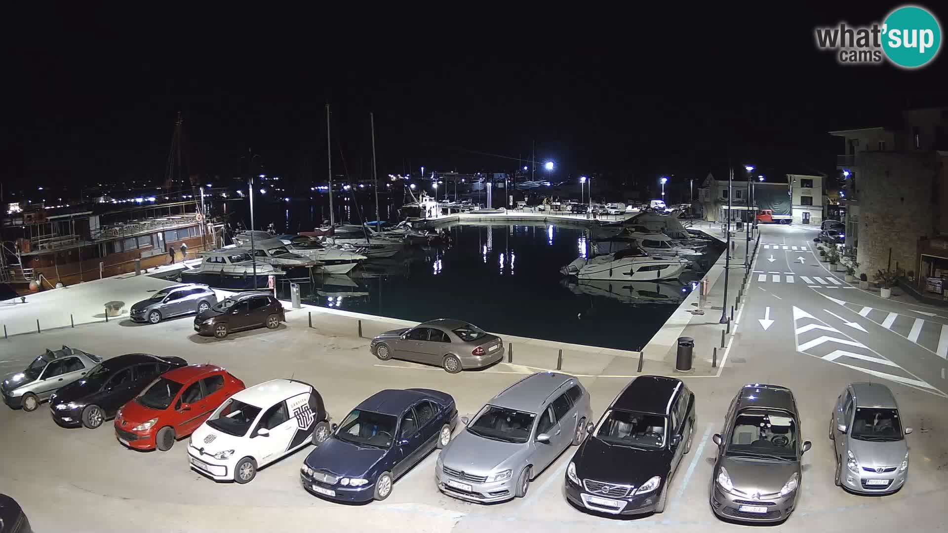 Novigrad | Porporela marina