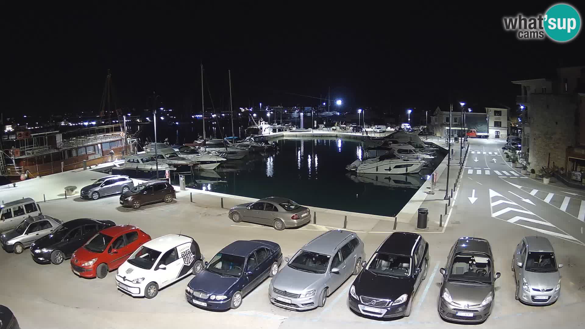 Novigrad | Porporela marina