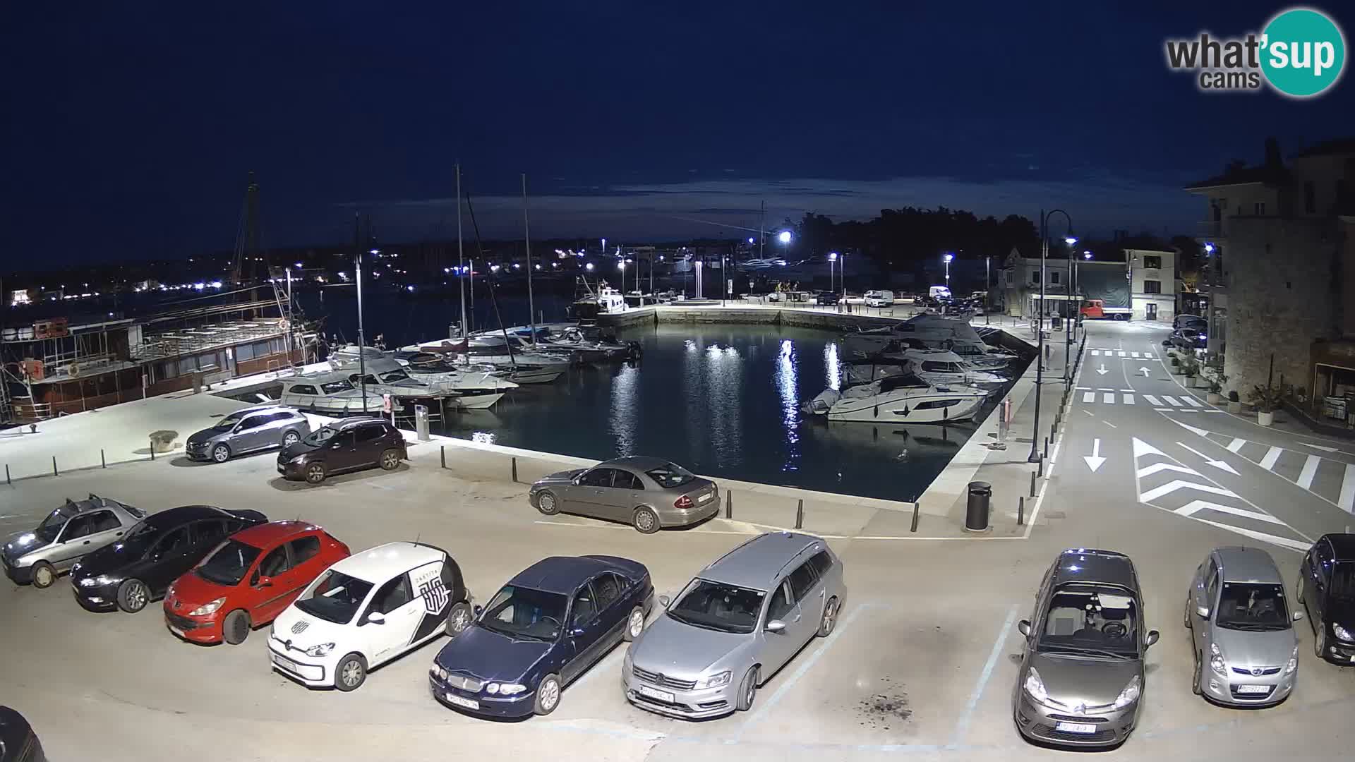 Novigrad | Porporela marina
