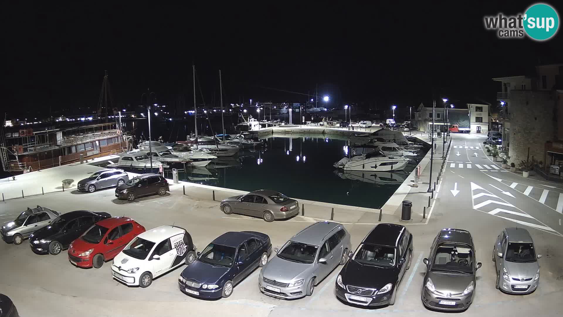 Novigrad | Porporela marina