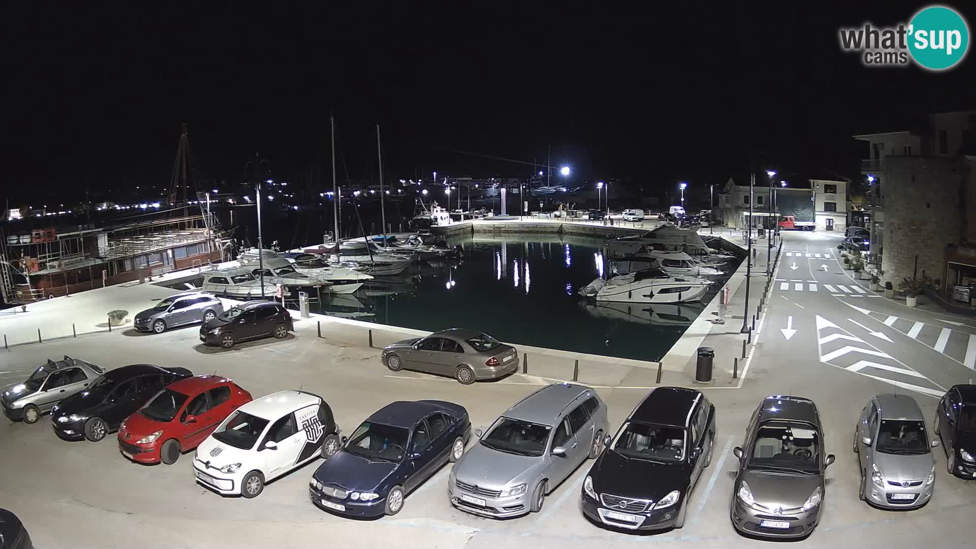 Novigrad | Porporela marina