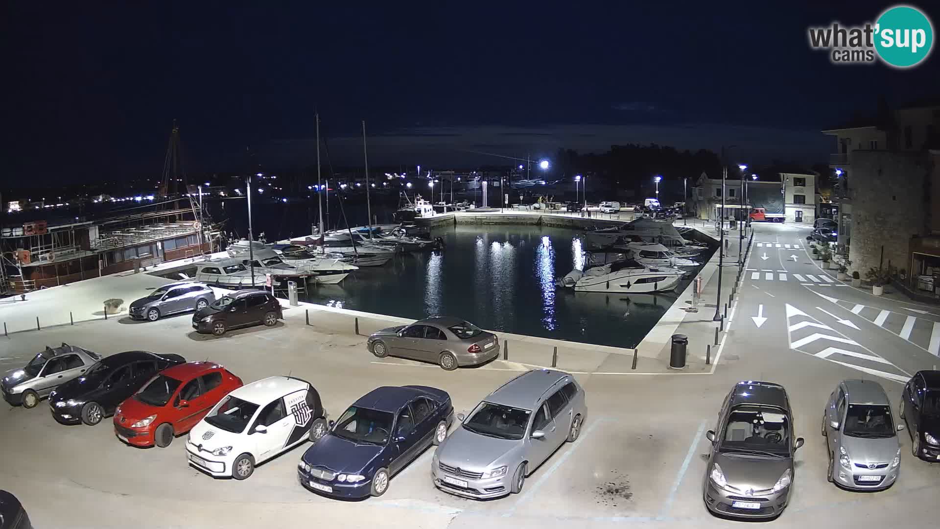 Novigrad | Porporela marina