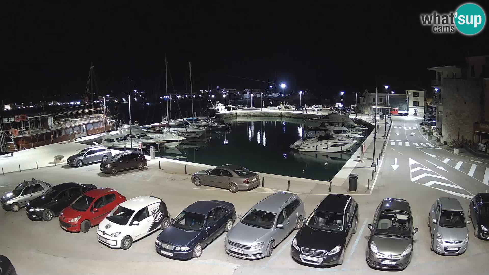 Novigrad | Porporela marina