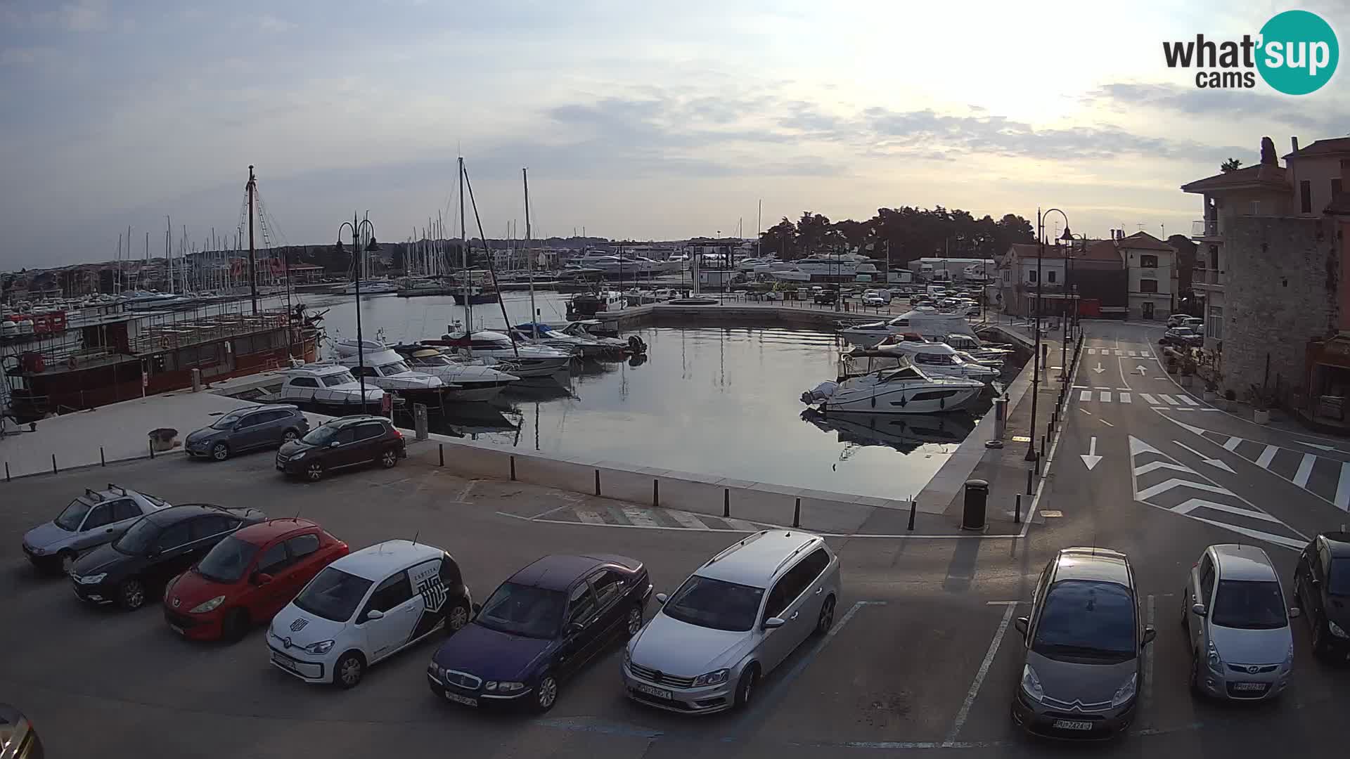 Novigrad | Porporela marina