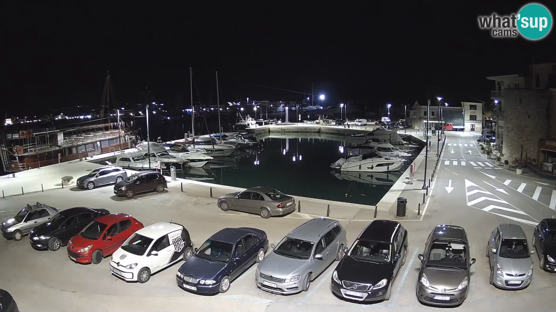 Novigrad | Porporela marina