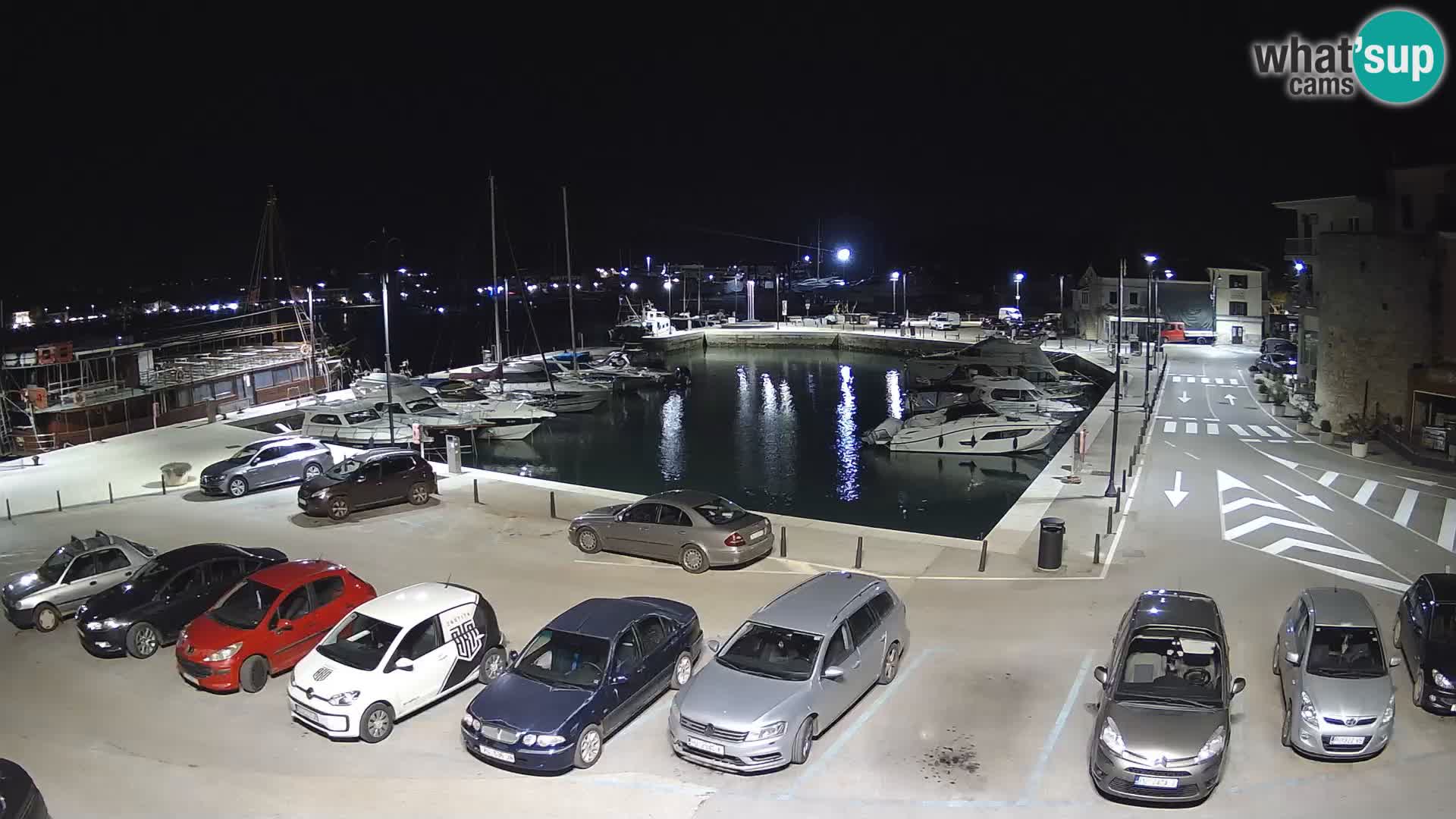 Novigrad | Porporela marina