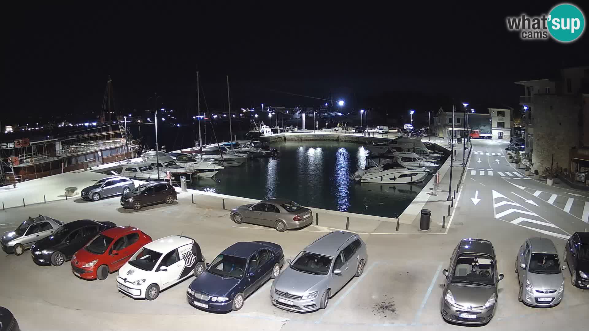 Novigrad | Porporela marina