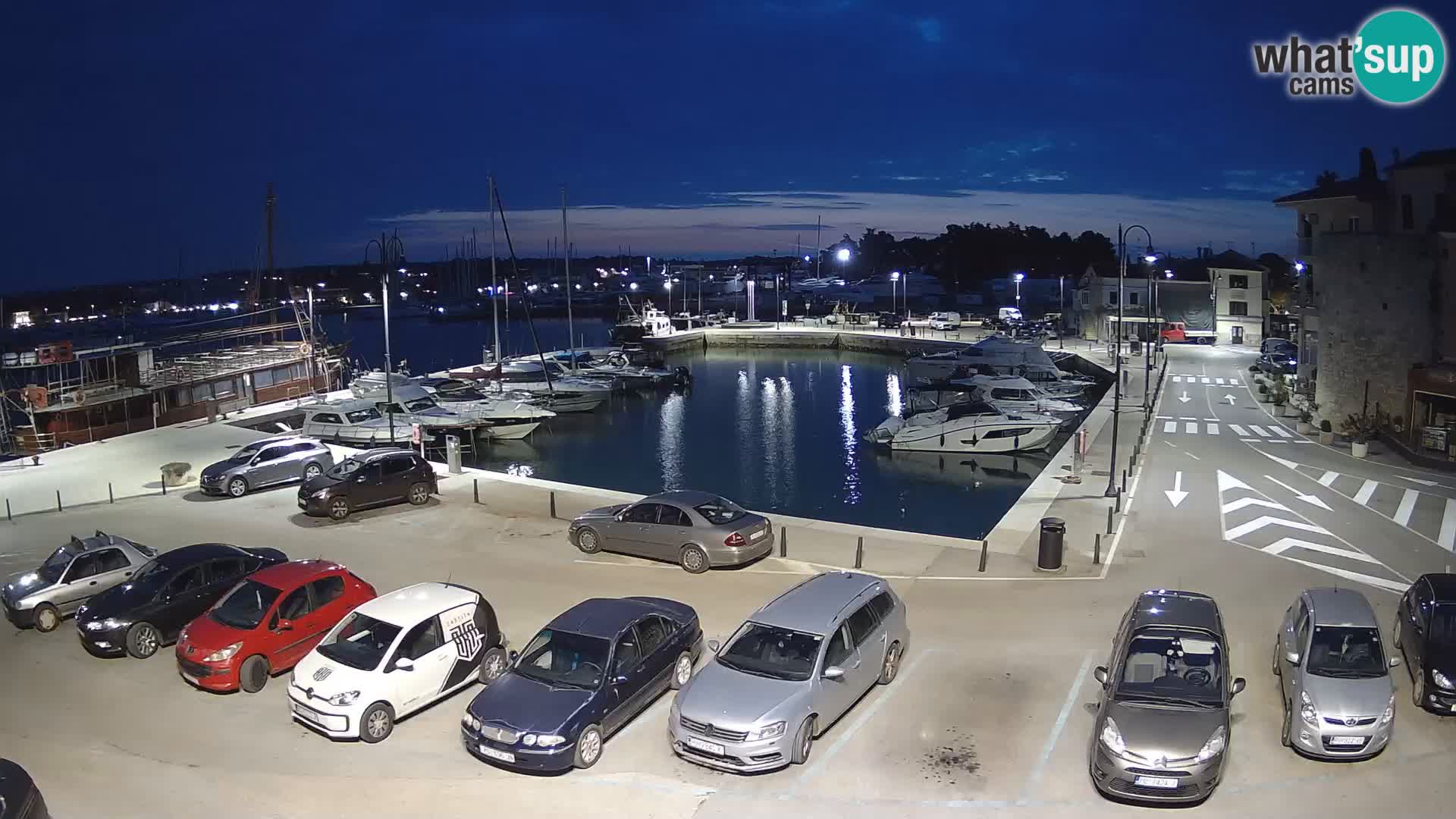 Novigrad | Porporela marina