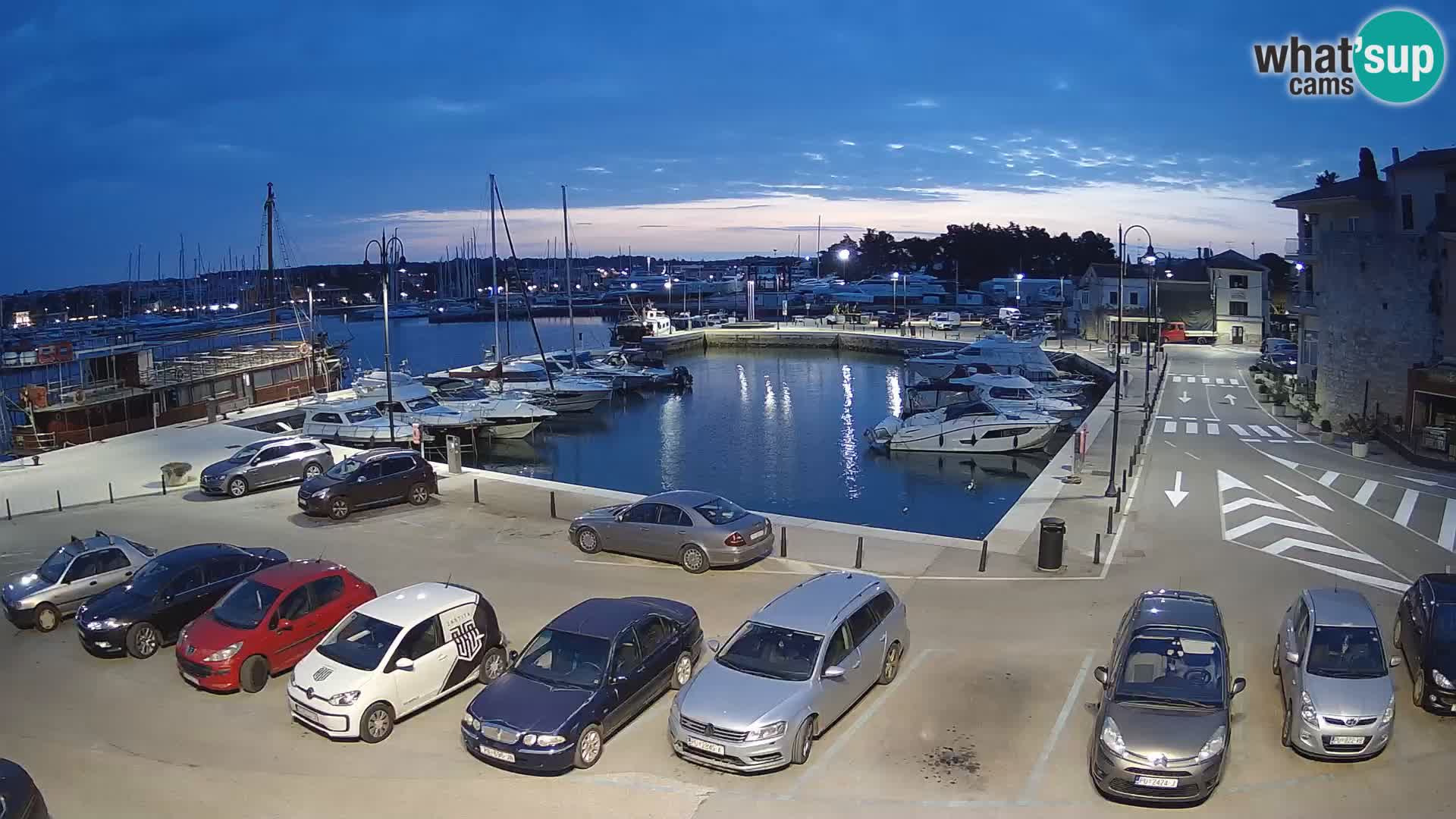 Novigrad | Porporela marina