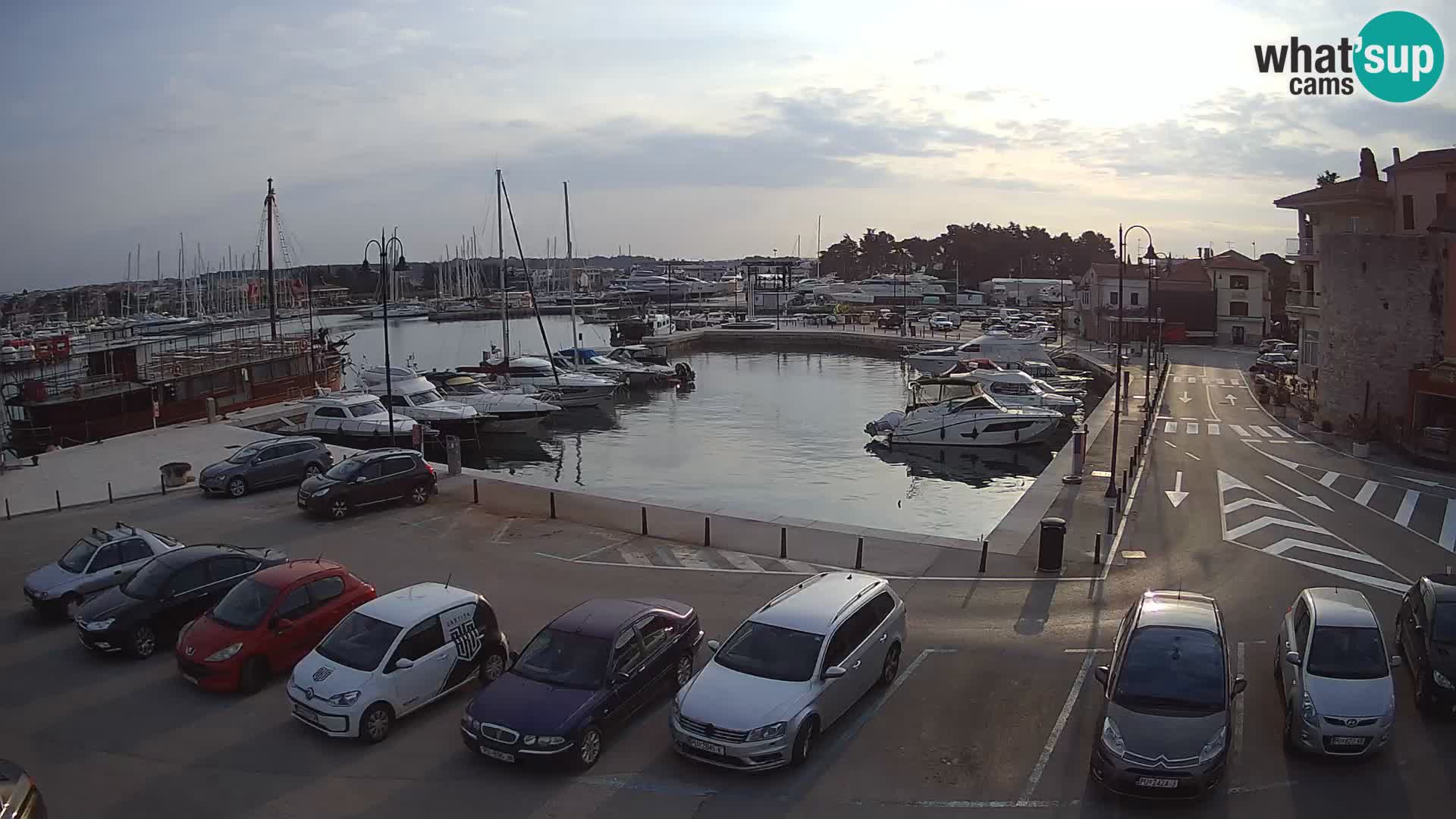 Novigrad | Porporela marina