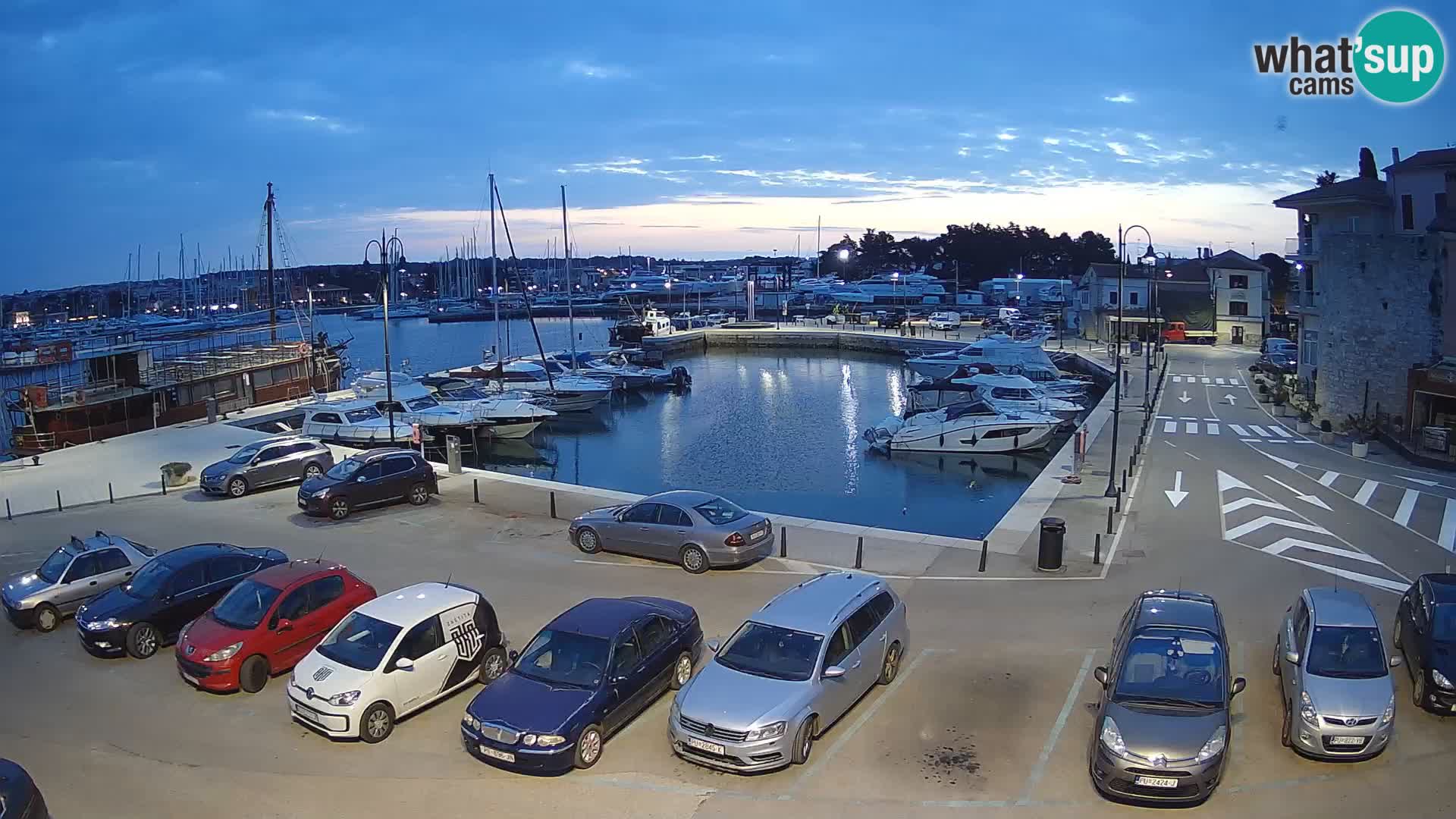 Novigrad | Porporela marina