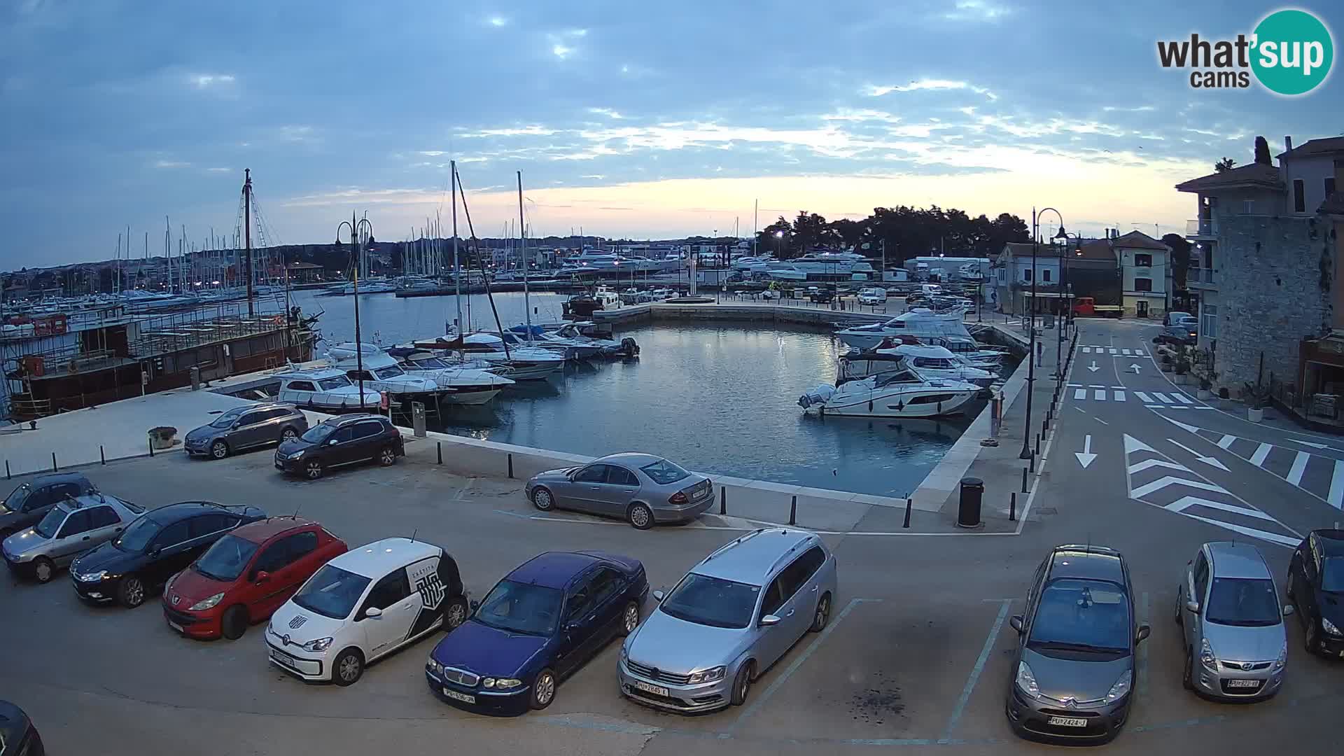 Novigrad | Porporela marina