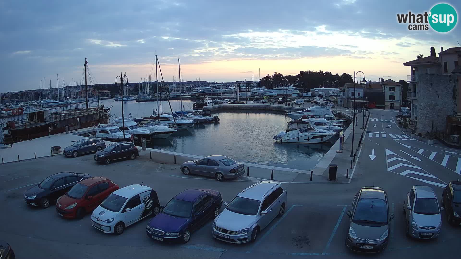 Novigrad | Porporela marina