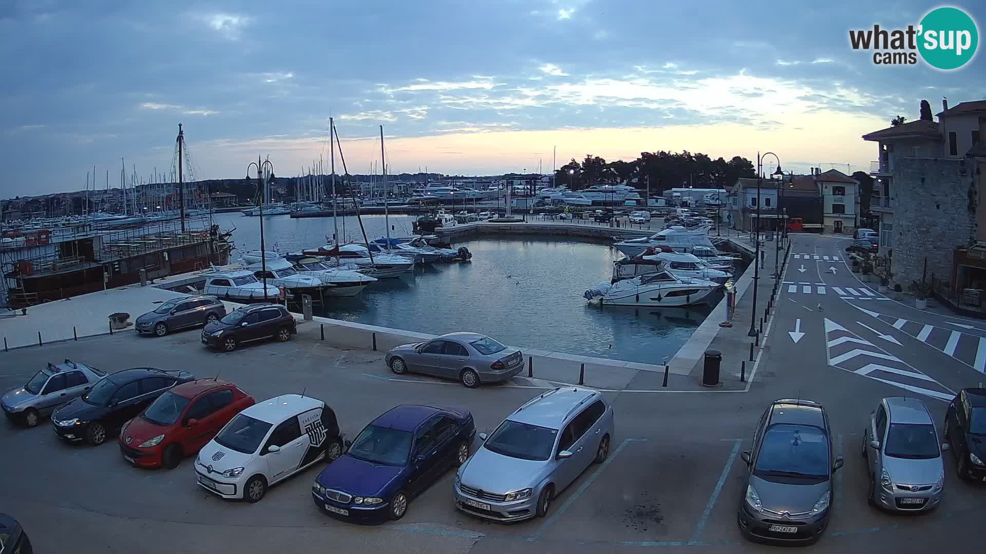 Novigrad | Porporela marina