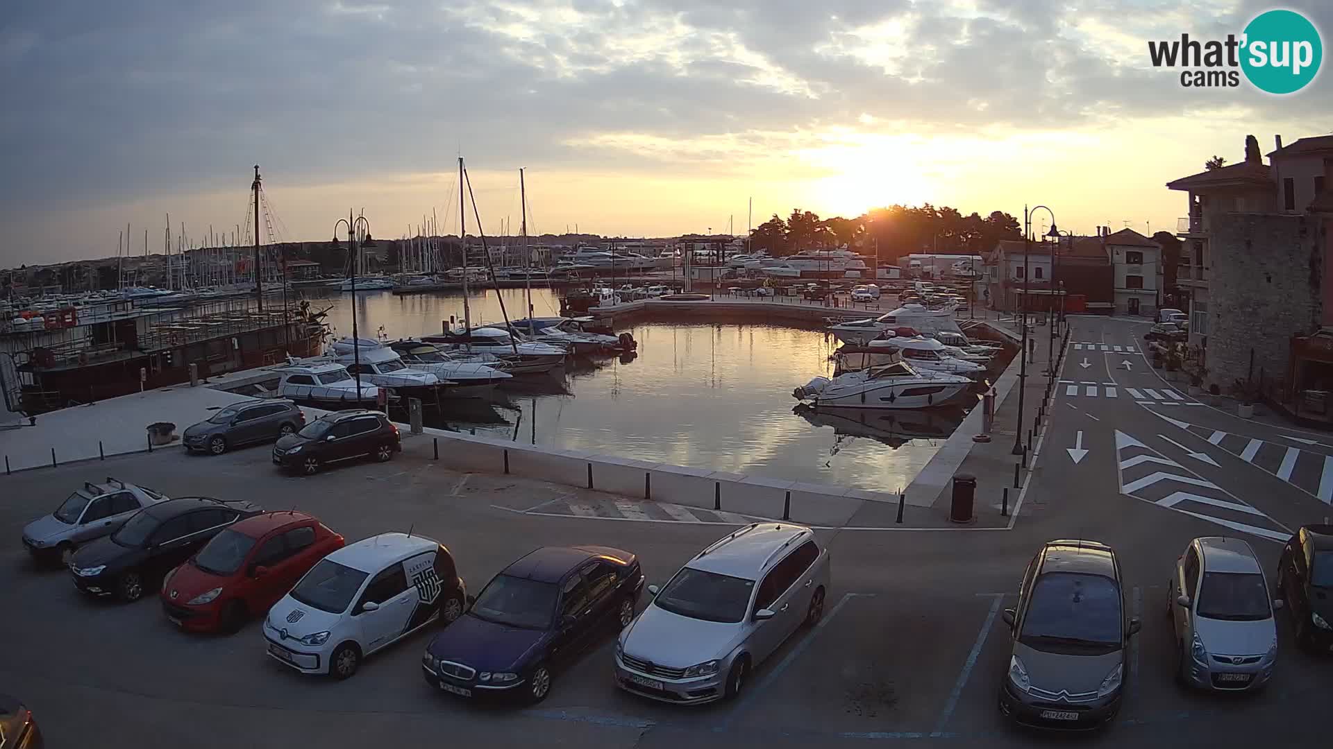Novigrad | Porporela marina